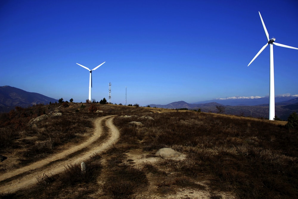 brown grass and two white windmills