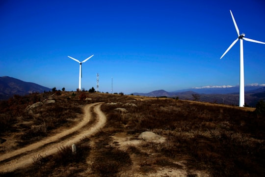 brown grass and two white windmills in Stara Kresna Bulgaria