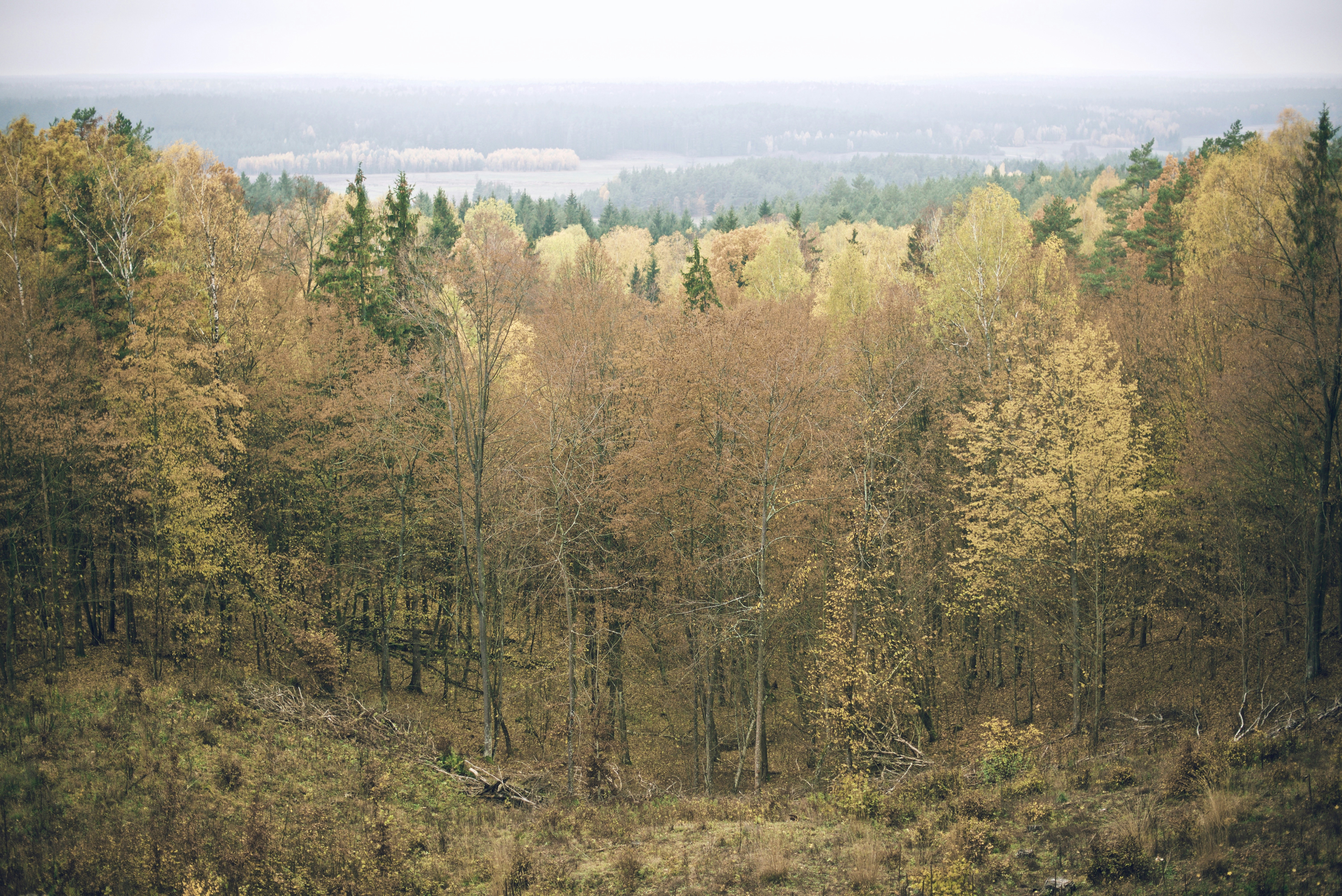 Free Unsplash photo from Pawel Franke