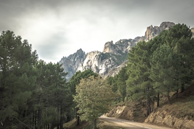 A panoramic shot of the Alpine Loop winding through dense pine forests.