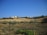 A rural landscape features an expansive field with rows of young olive trees. In the background, a cluster of small houses sits atop a hillside, beneath a clear blue sky. The terrain is dry and brown, typical of a countryside setting.