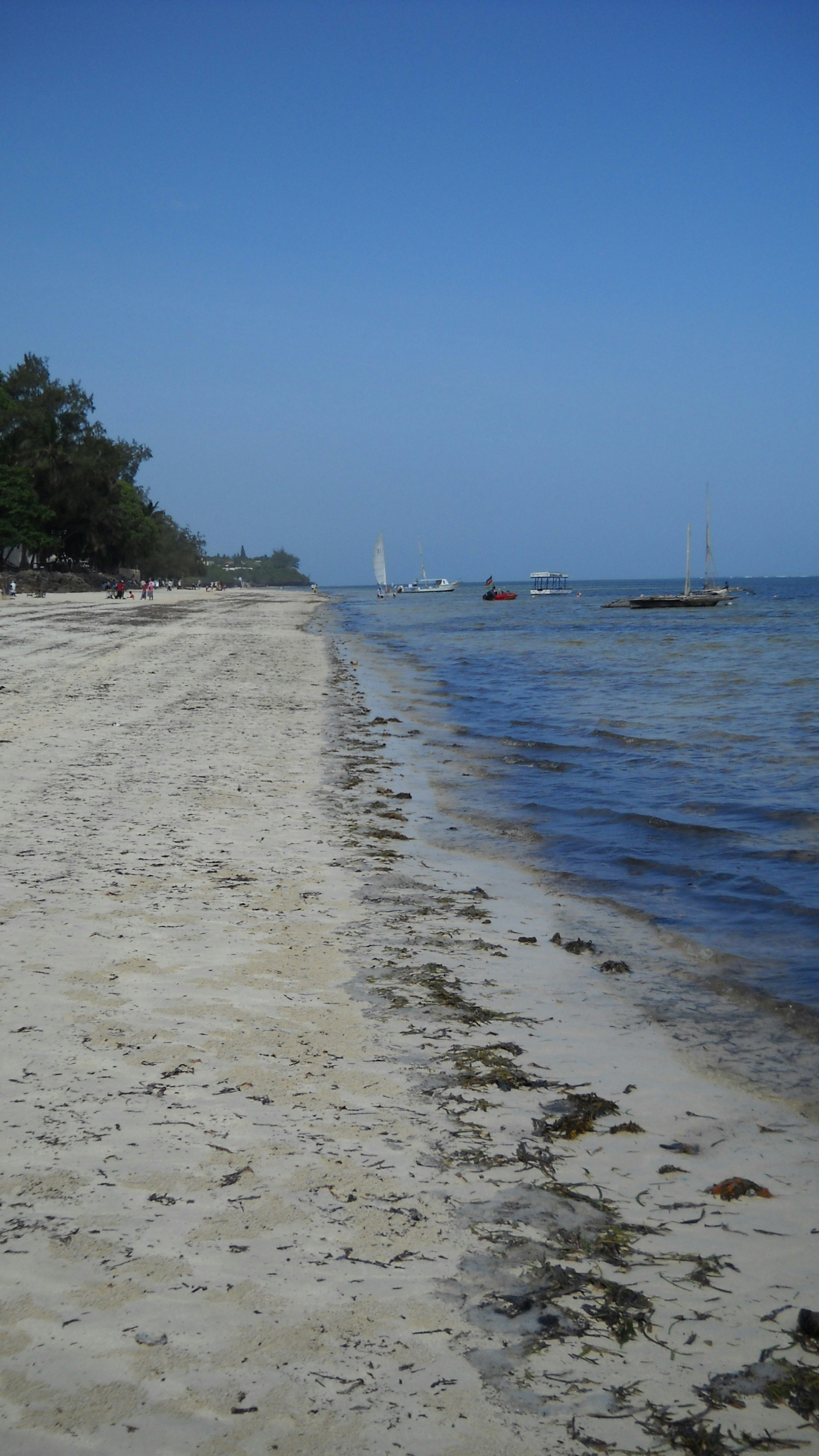 Free Unsplash photo from Michel Russo