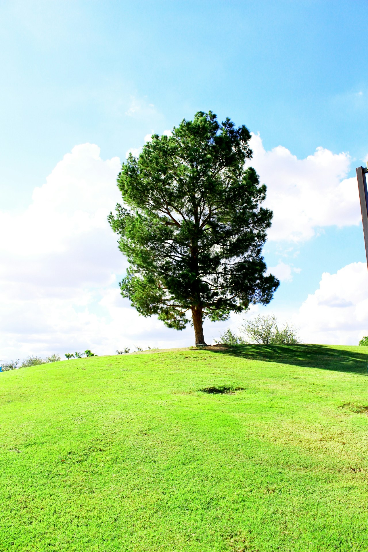 Free Unsplash photo from Jaime Handley