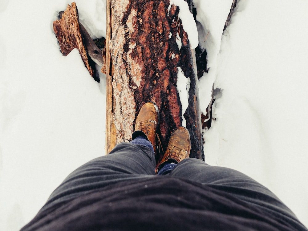 person standing on wood log