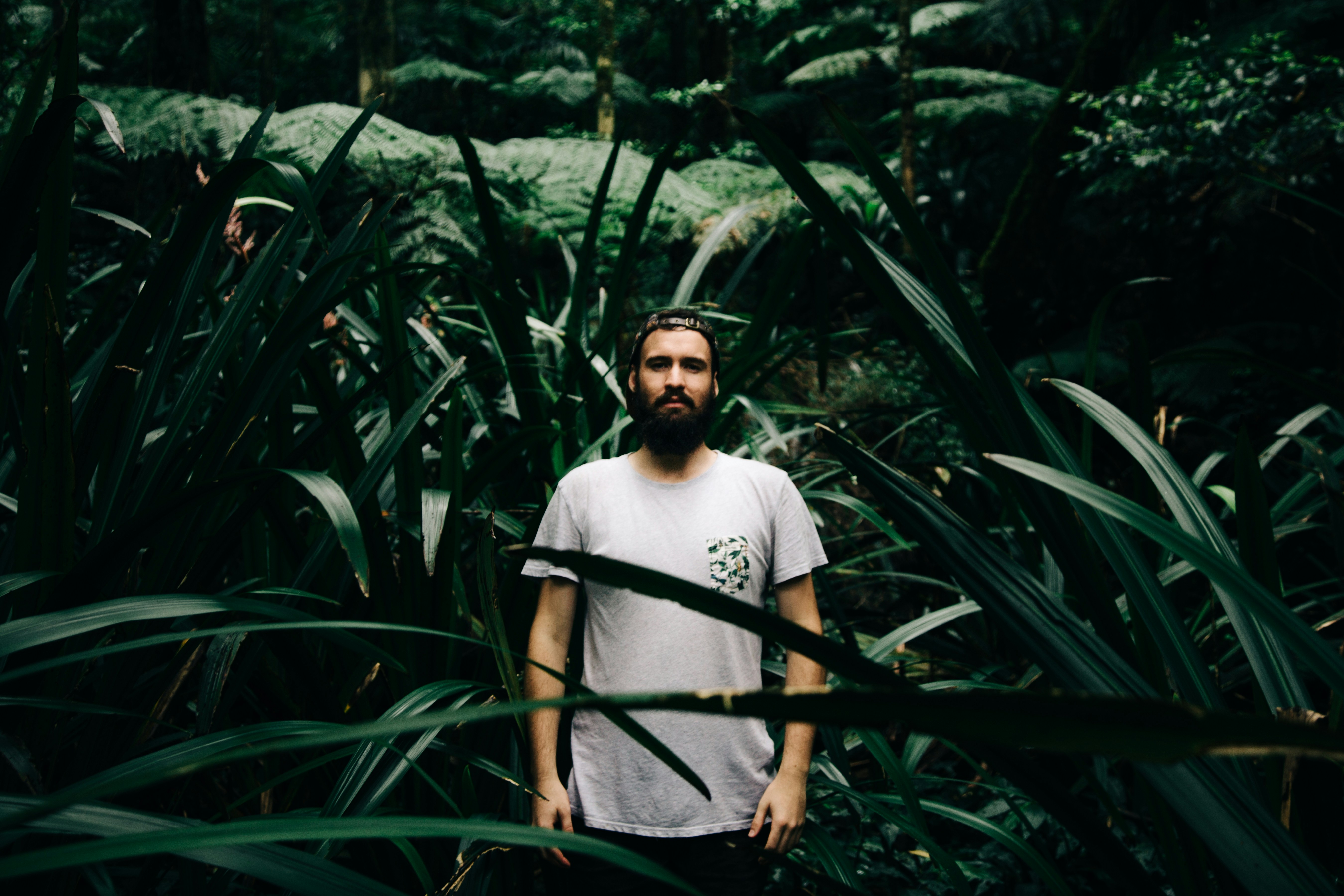 Free Unsplash photo from Neill Kumar