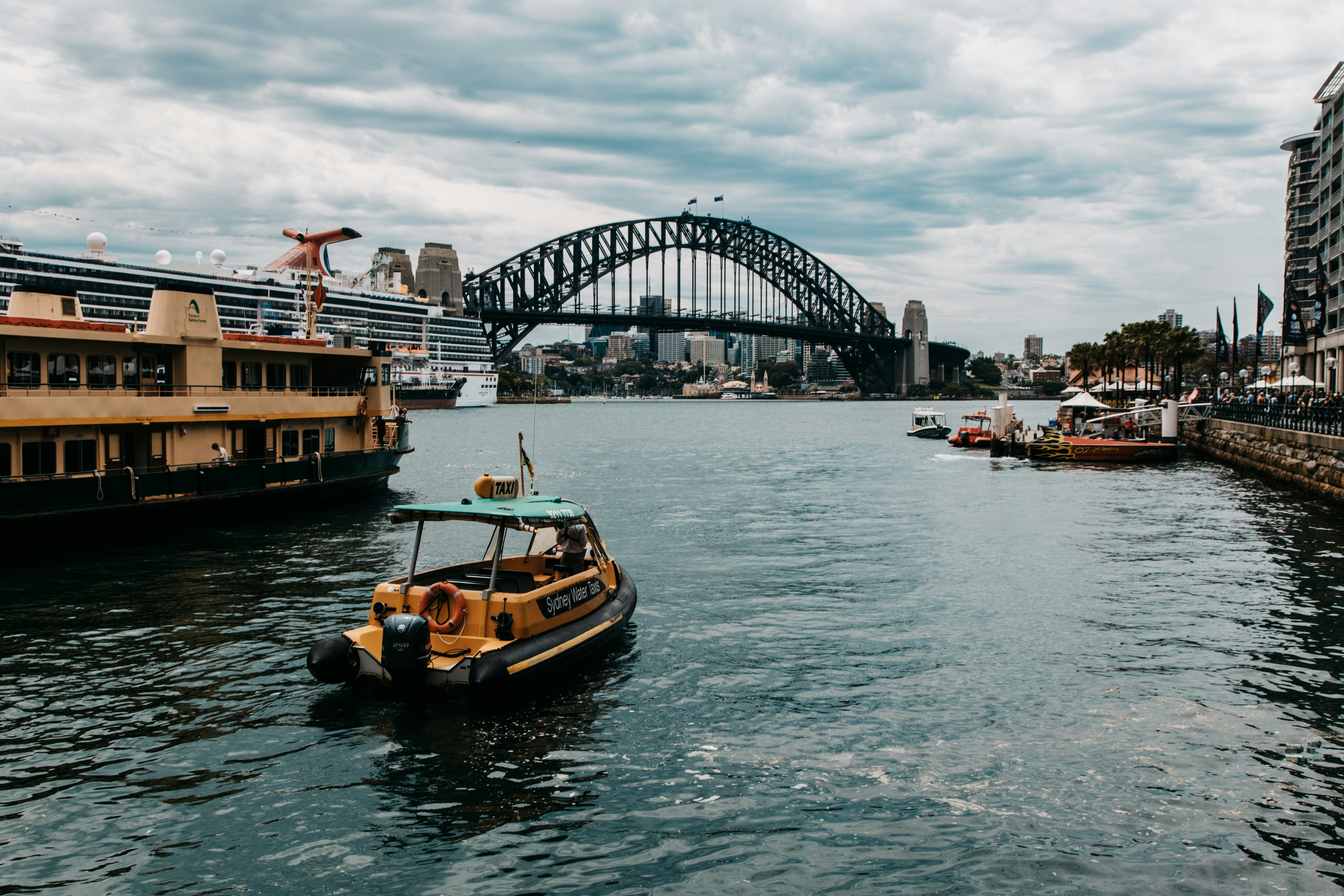 Free Unsplash photo from Neill Kumar