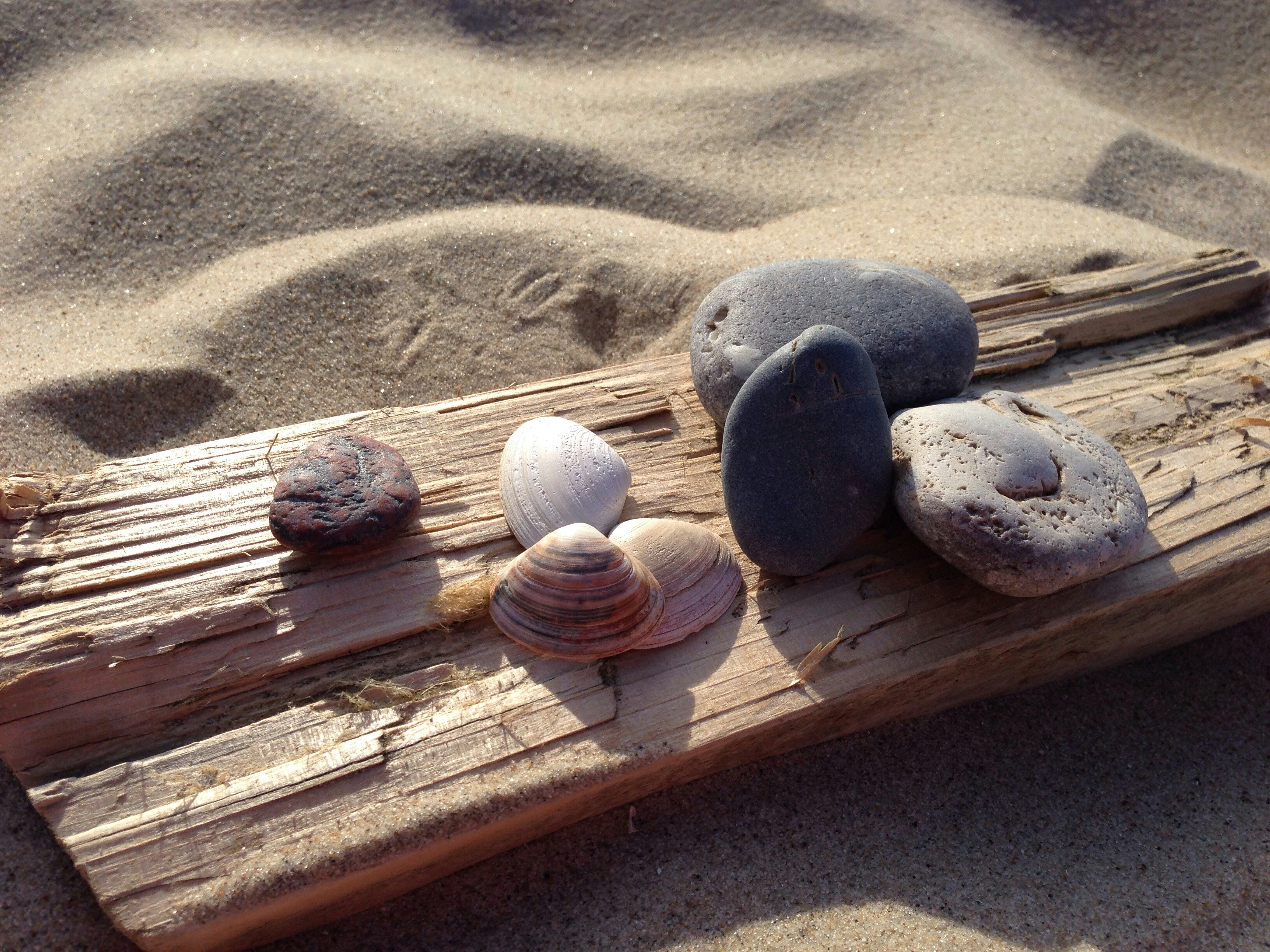 Free Unsplash photo from Detlef Hauke