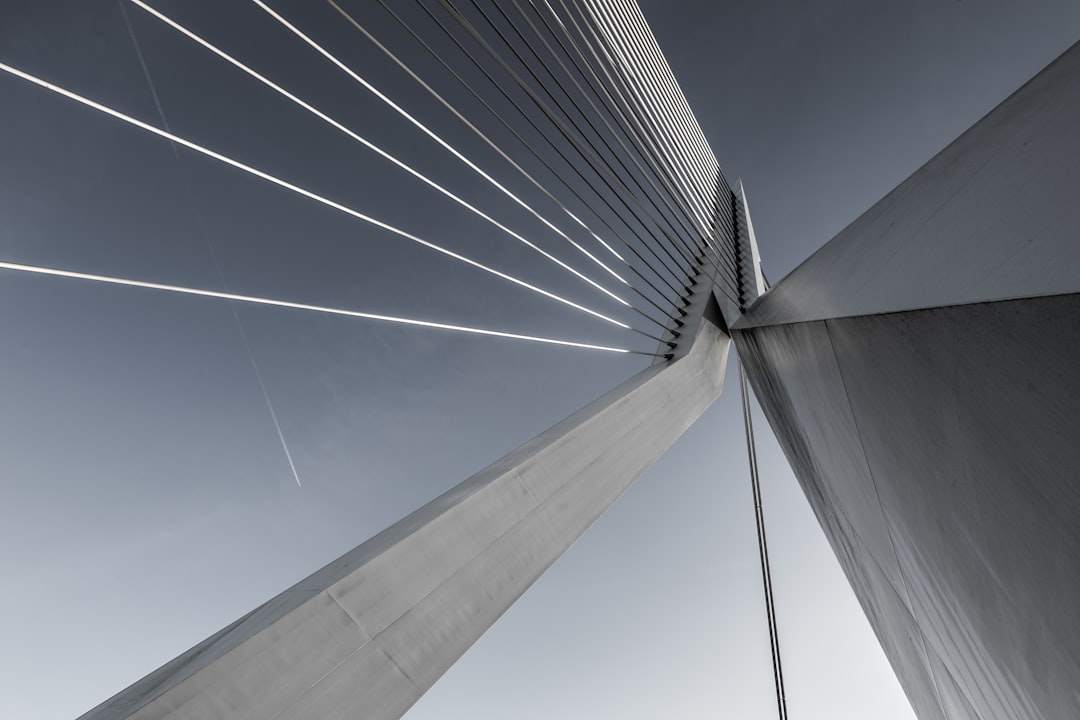 photo of Rotterdam Cable-stayed bridge near Kinderdijk Windmills