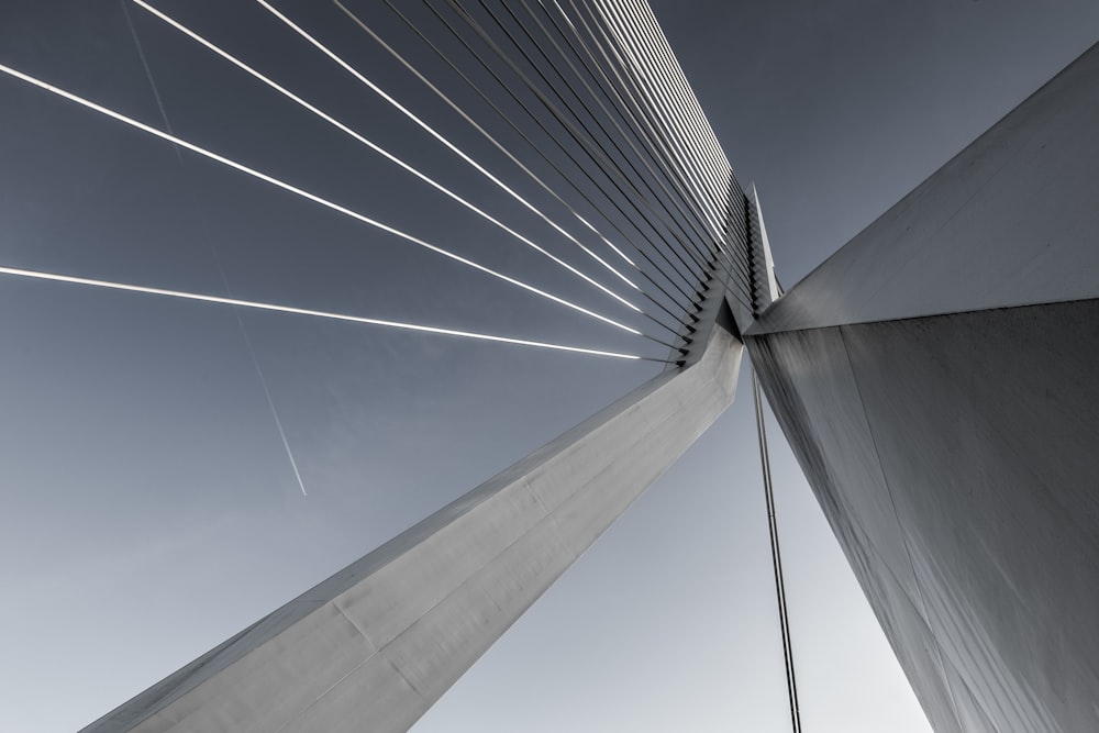 low angle photography of glass building