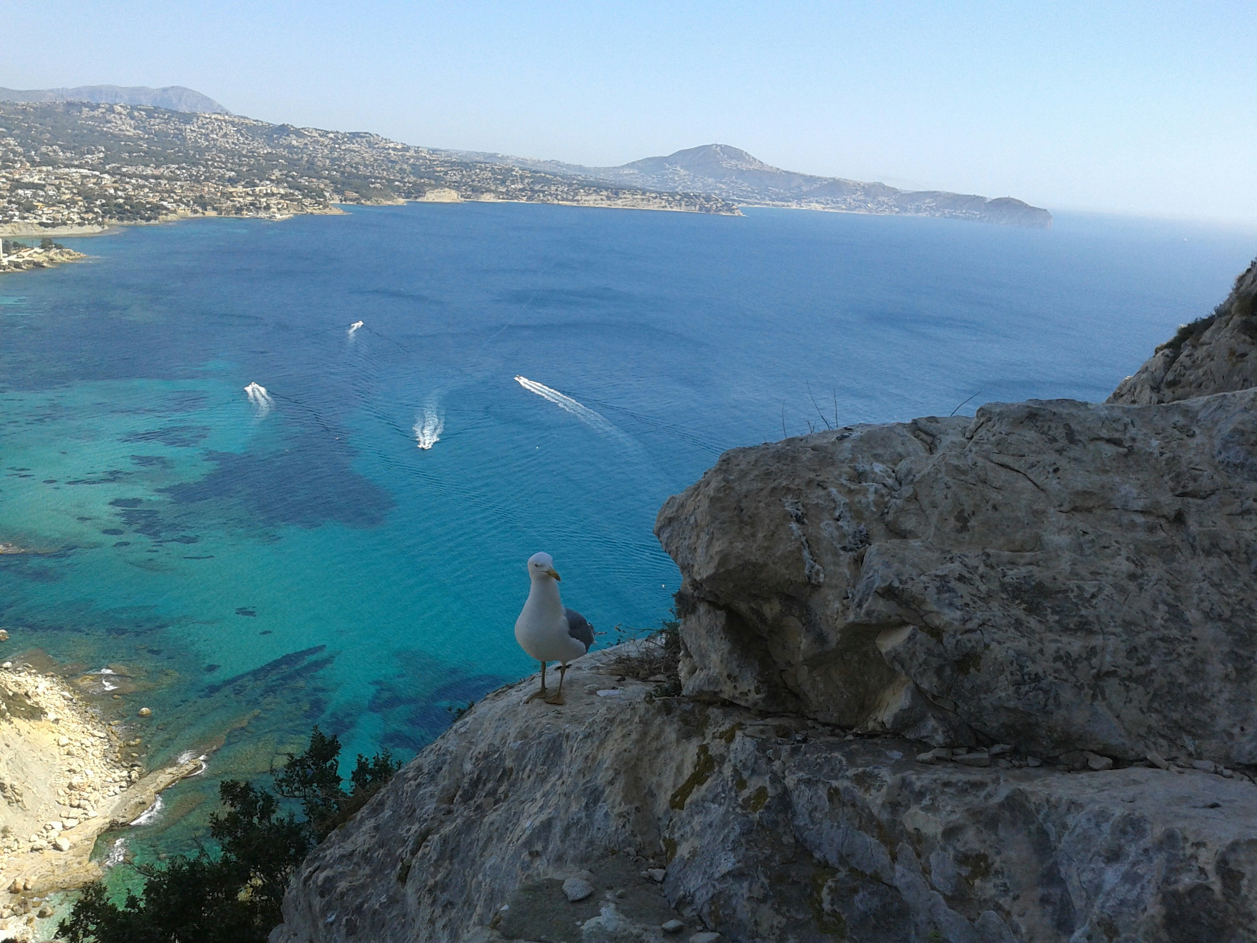 Free Unsplash photo from arantxa