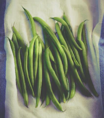Bright green moong beans neatly arranged on a white backdrop under soft light.