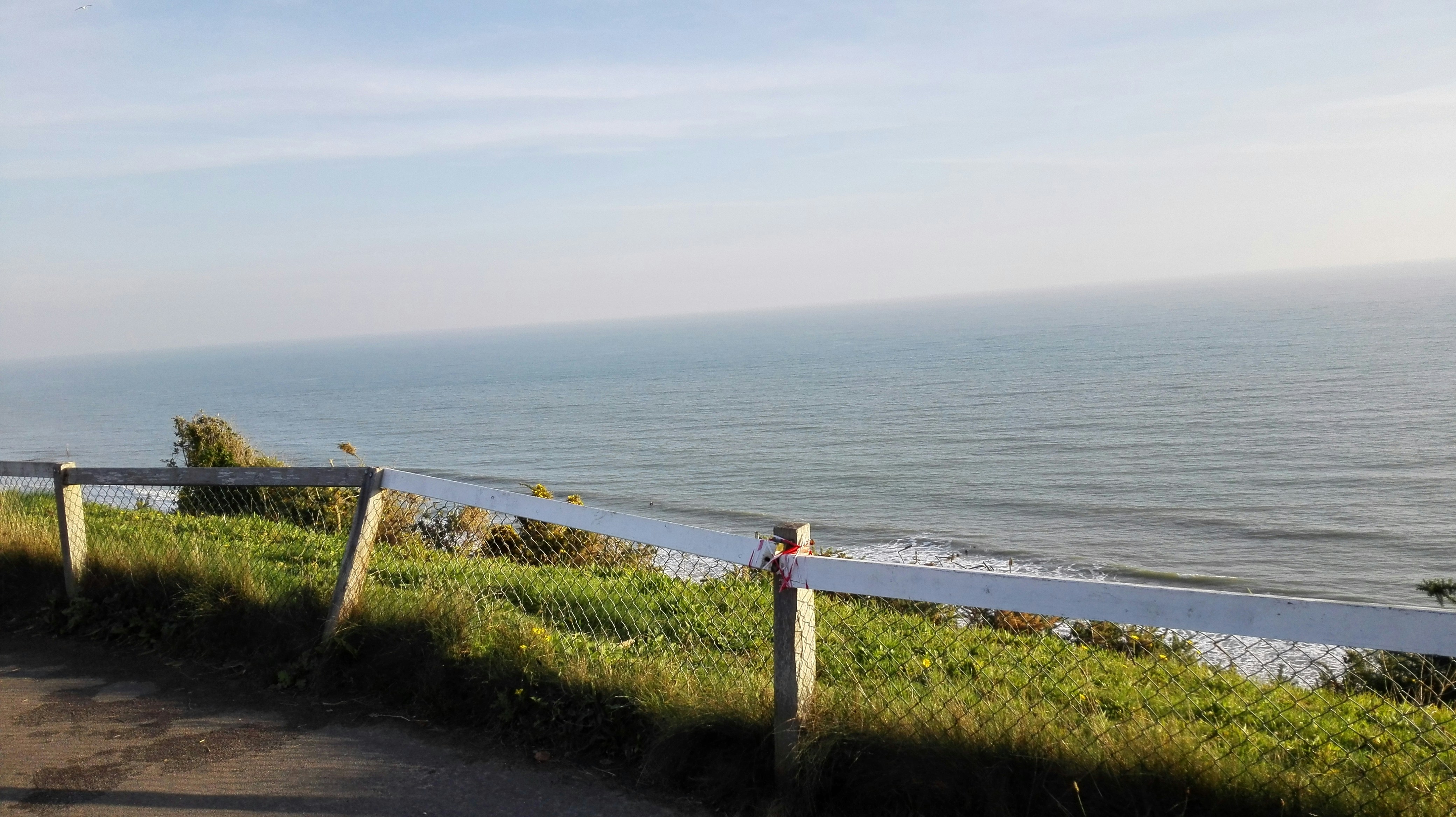 Free Unsplash photo from Julius Rinke