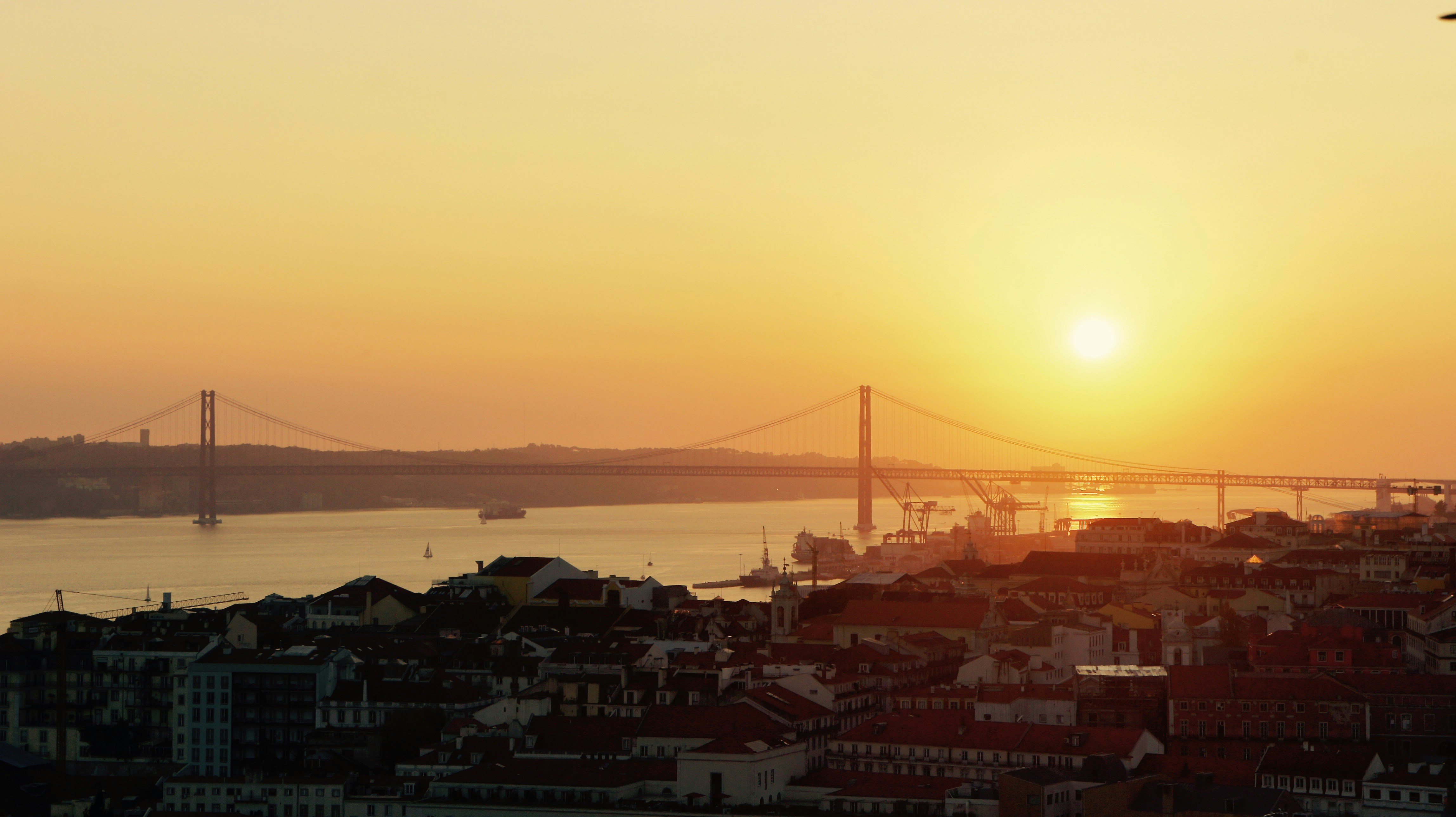 Free Unsplash photo from Tim Rutten