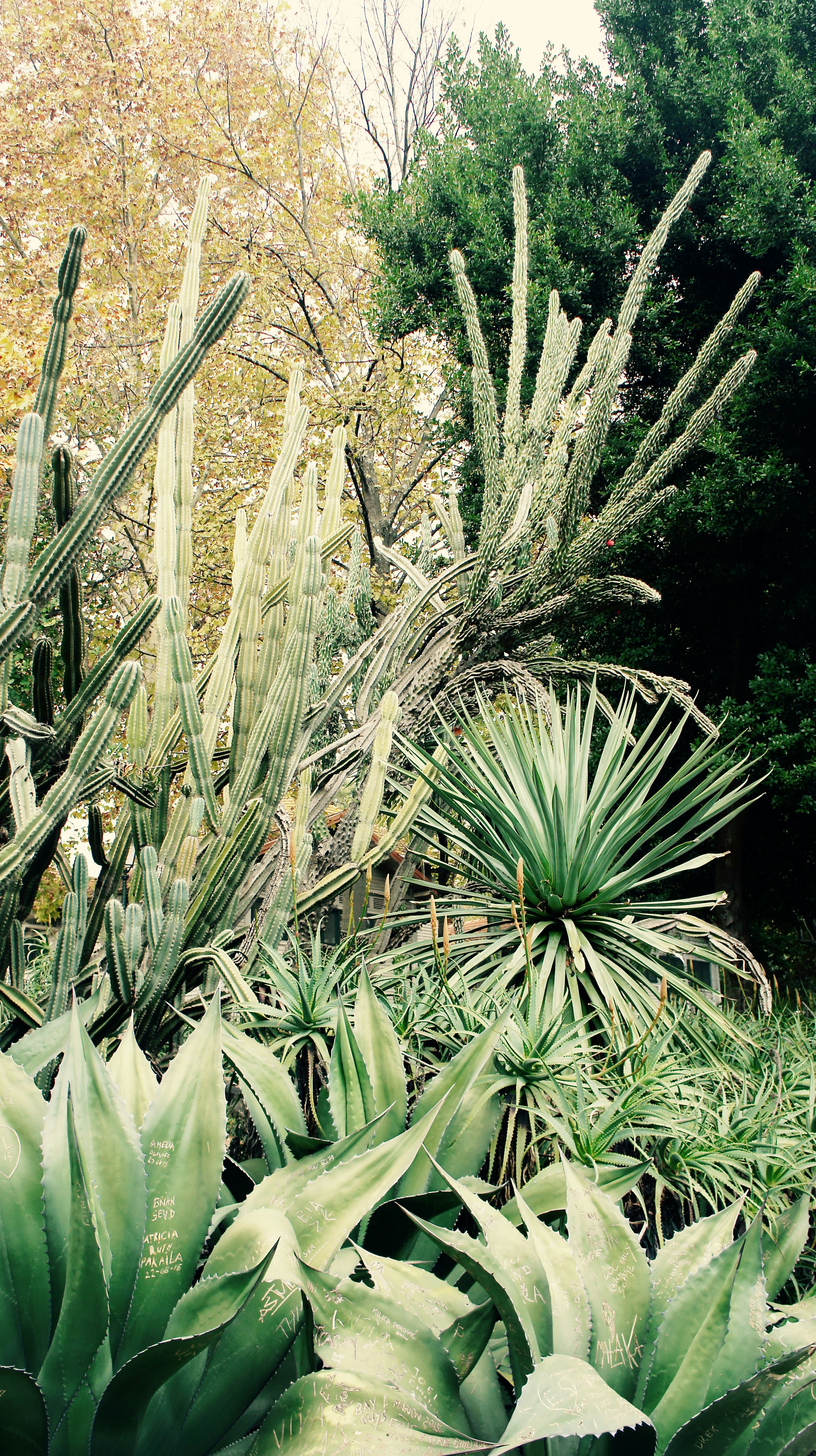 Free Unsplash photo from Tim Rutten