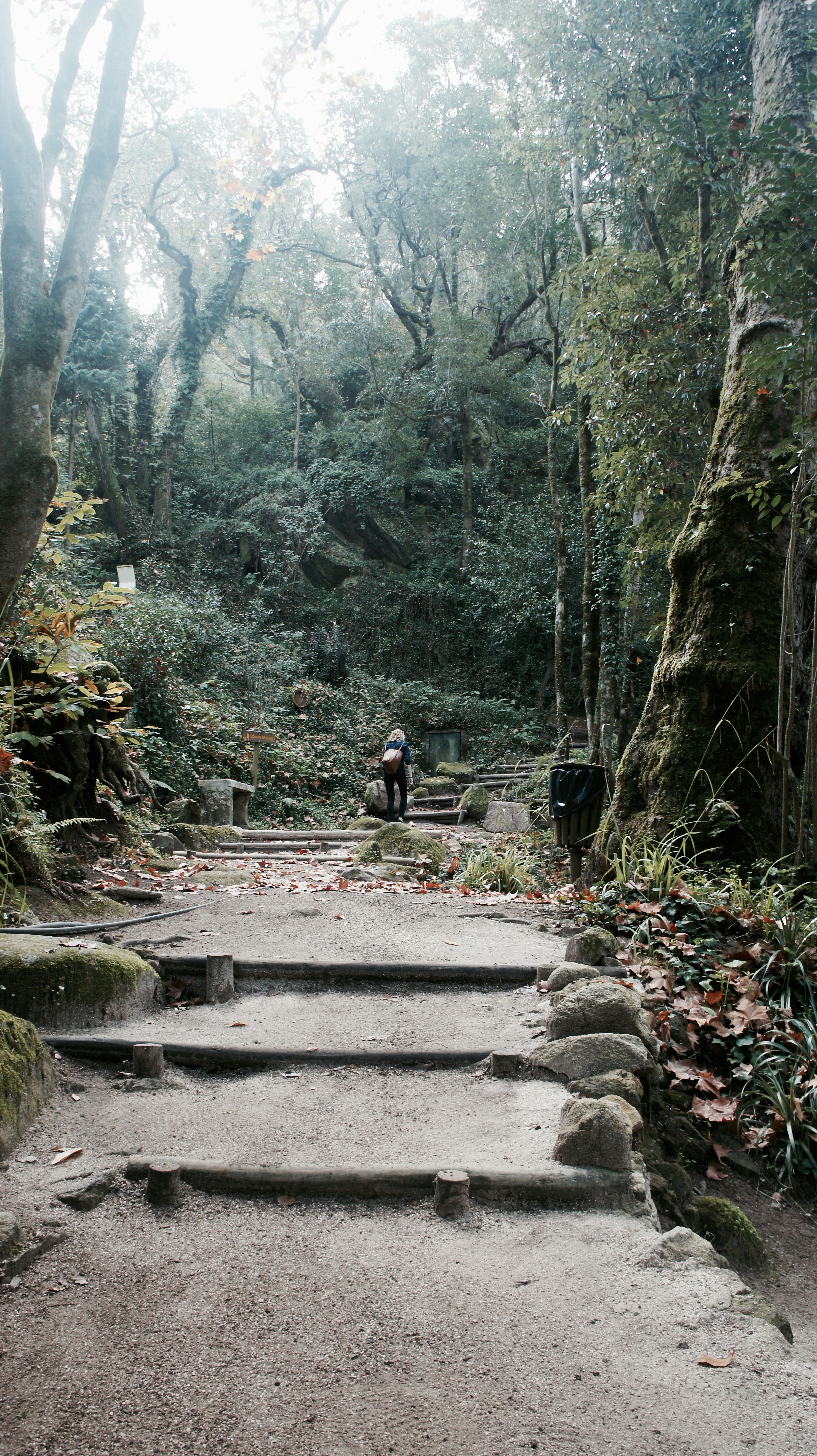 Free Unsplash photo from Tim Rutten