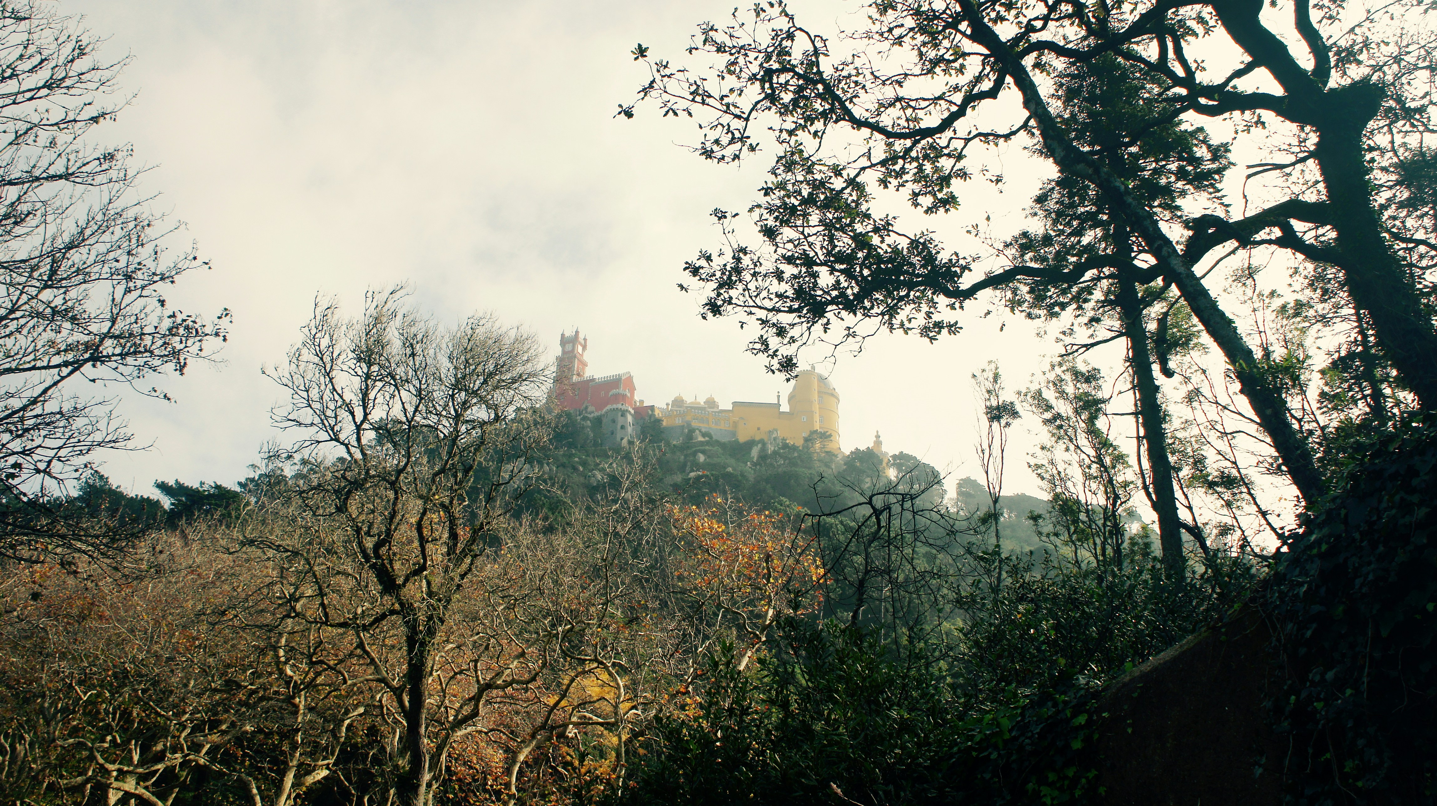 Free Unsplash photo from Tim Rutten