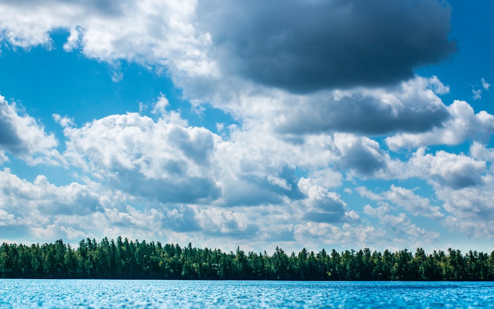 Des arbres verts sur un plan d’eau bleu sous un ciel nuageux