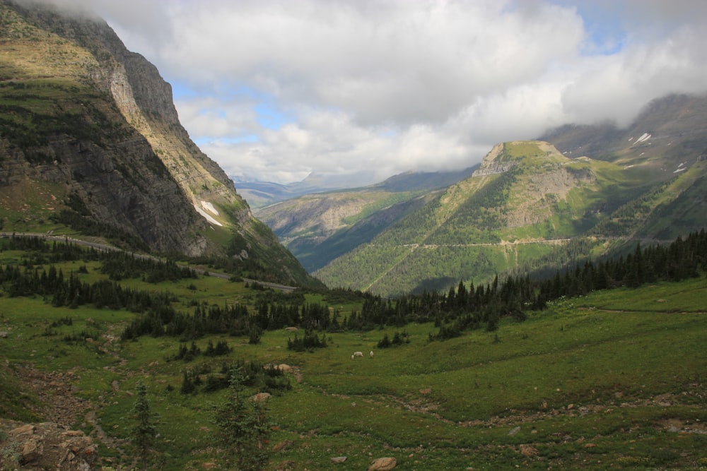 green trees on green grass field near mountain under white clouds during daytime