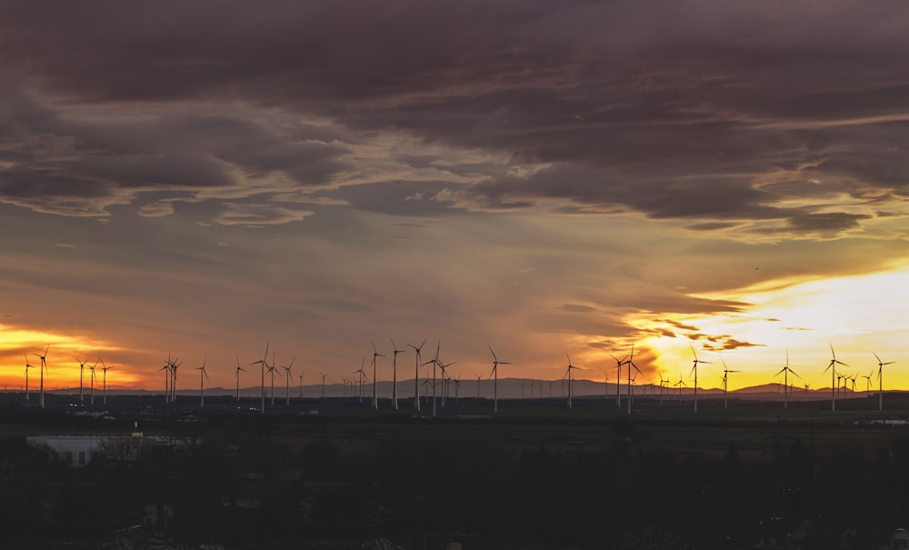 silhouette of wind turbines during sunset