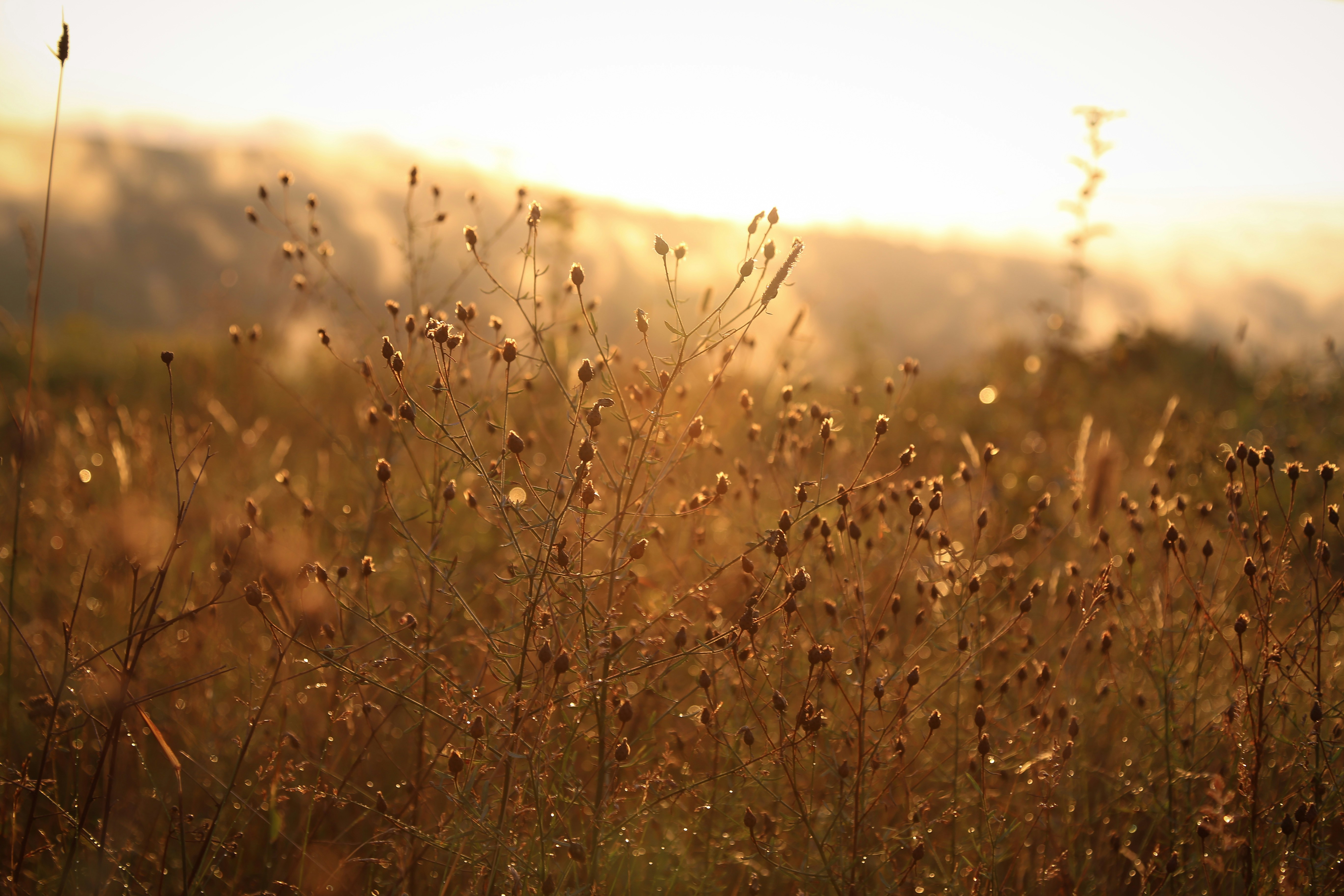 Free Unsplash photo from Katie Klaiber