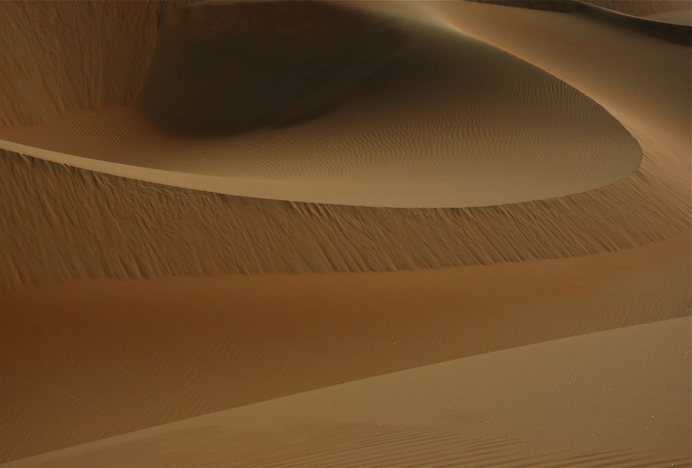 landscape photography of sand