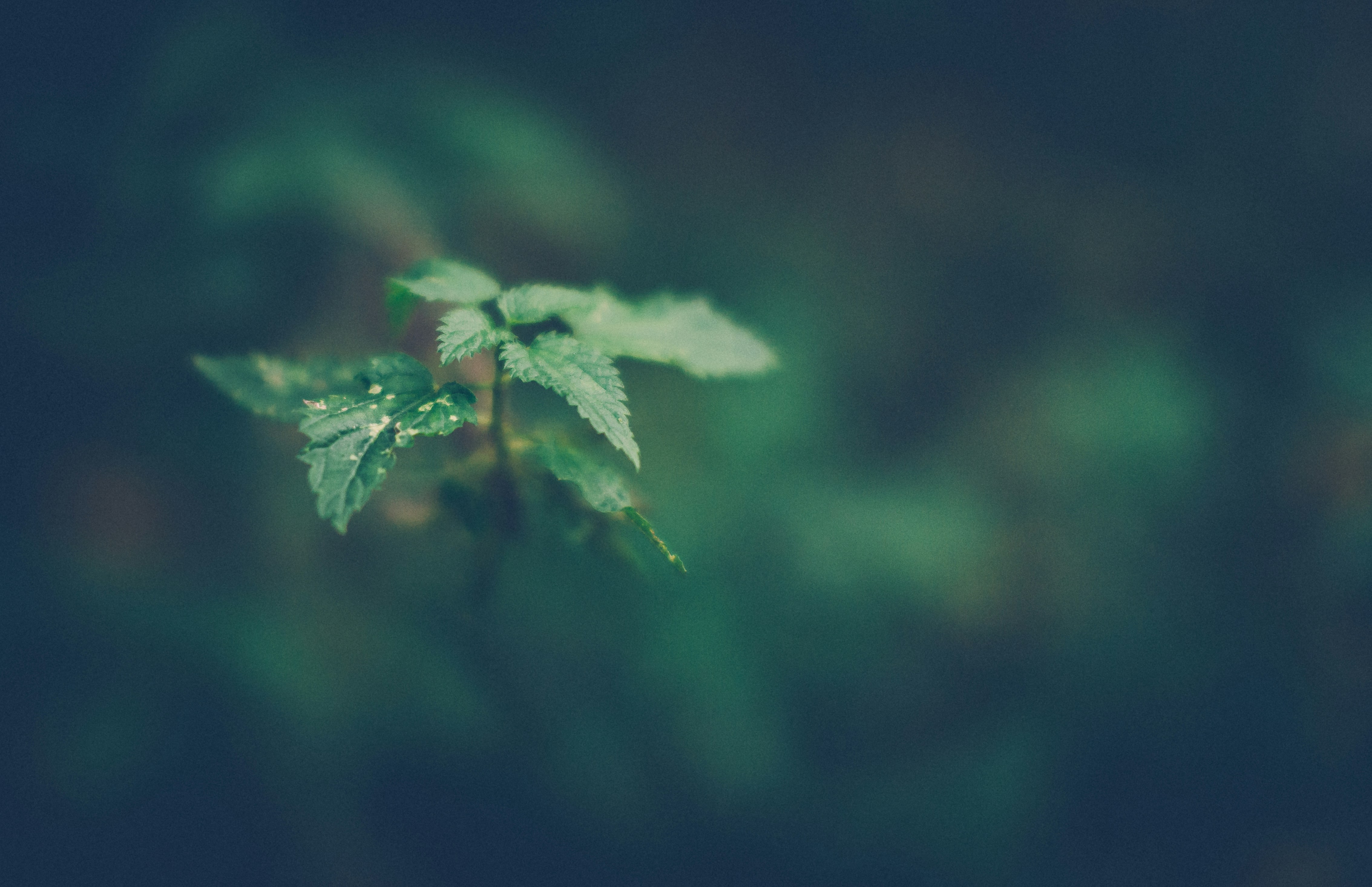 Free Unsplash photo from Buzac Marius