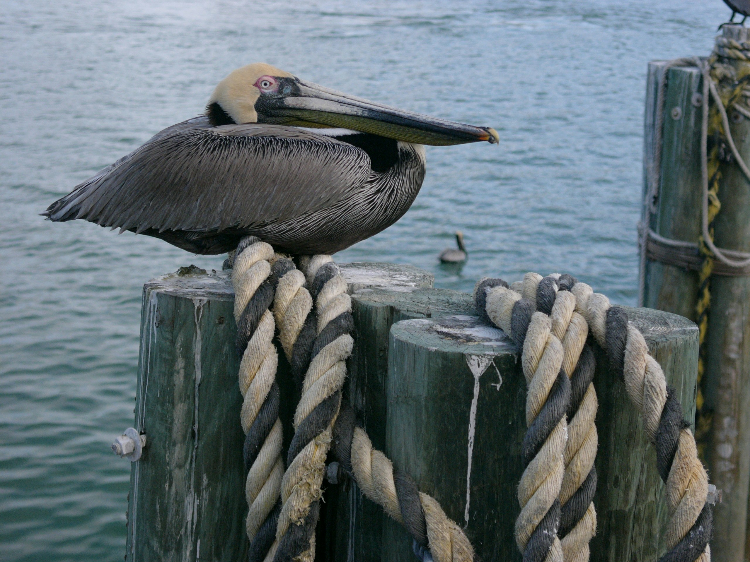 Free Unsplash photo from Detlef Hauke