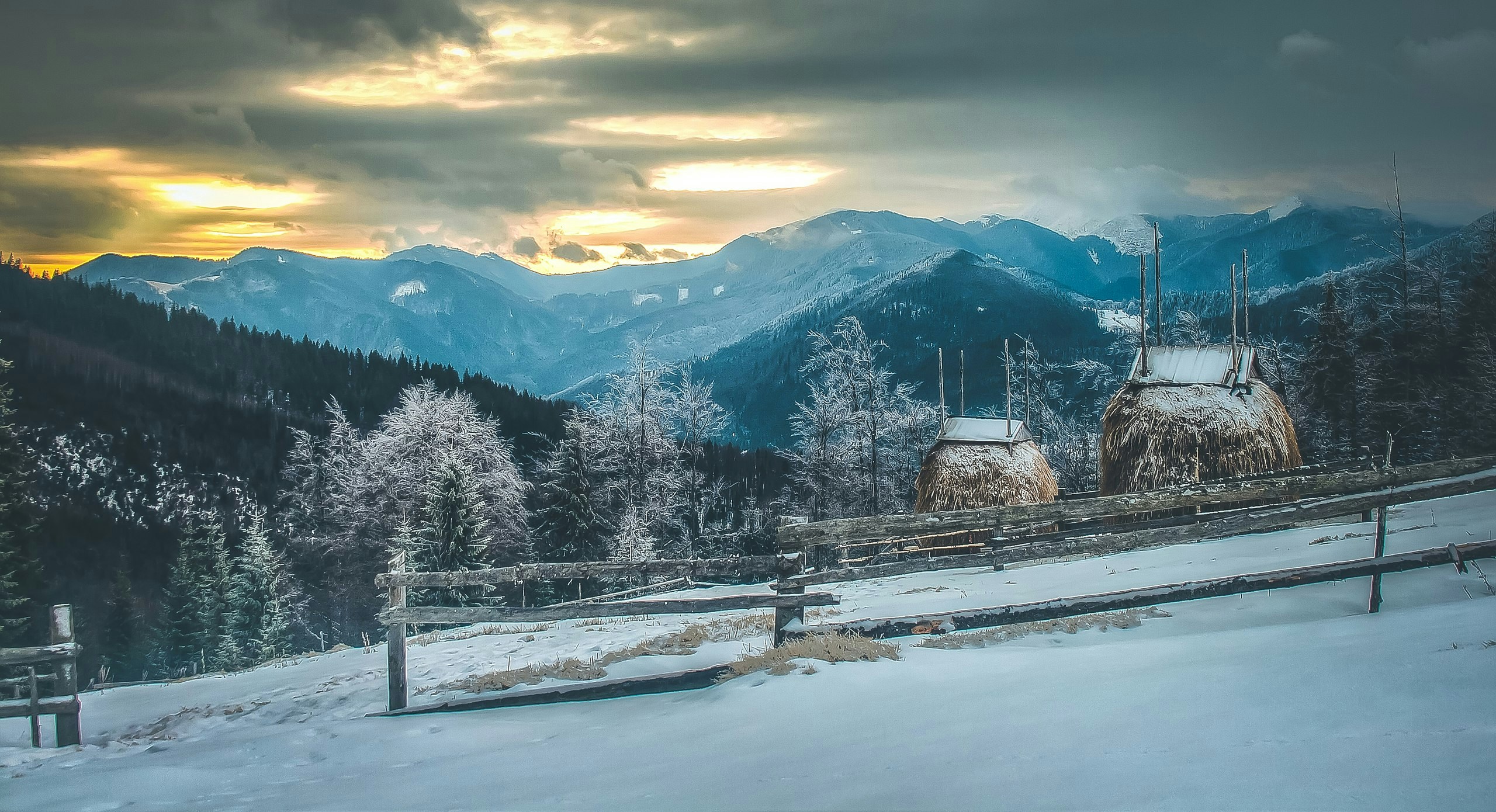 Free Unsplash photo from Andrey Meshkotov