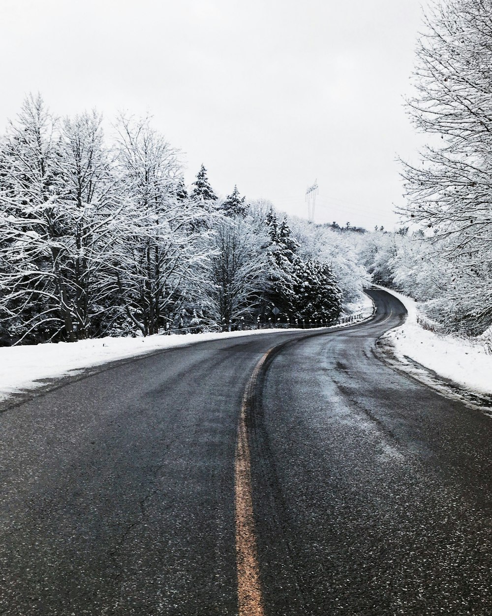 雪の中のアスファルト道路