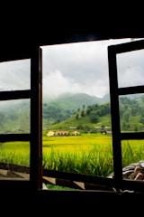 View from the bedroom window showing the estate’s rolling countryside under a soft morning light.