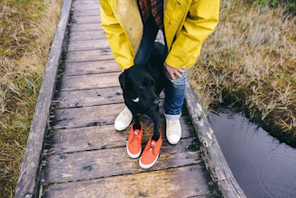 A cheerful dog wearing a bright yellow raincoat, splashing through puddles on a rainy day.