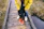 A cheerful man walking his small dog wearing bright yellow rain boots on a rainy city sidewalk.
