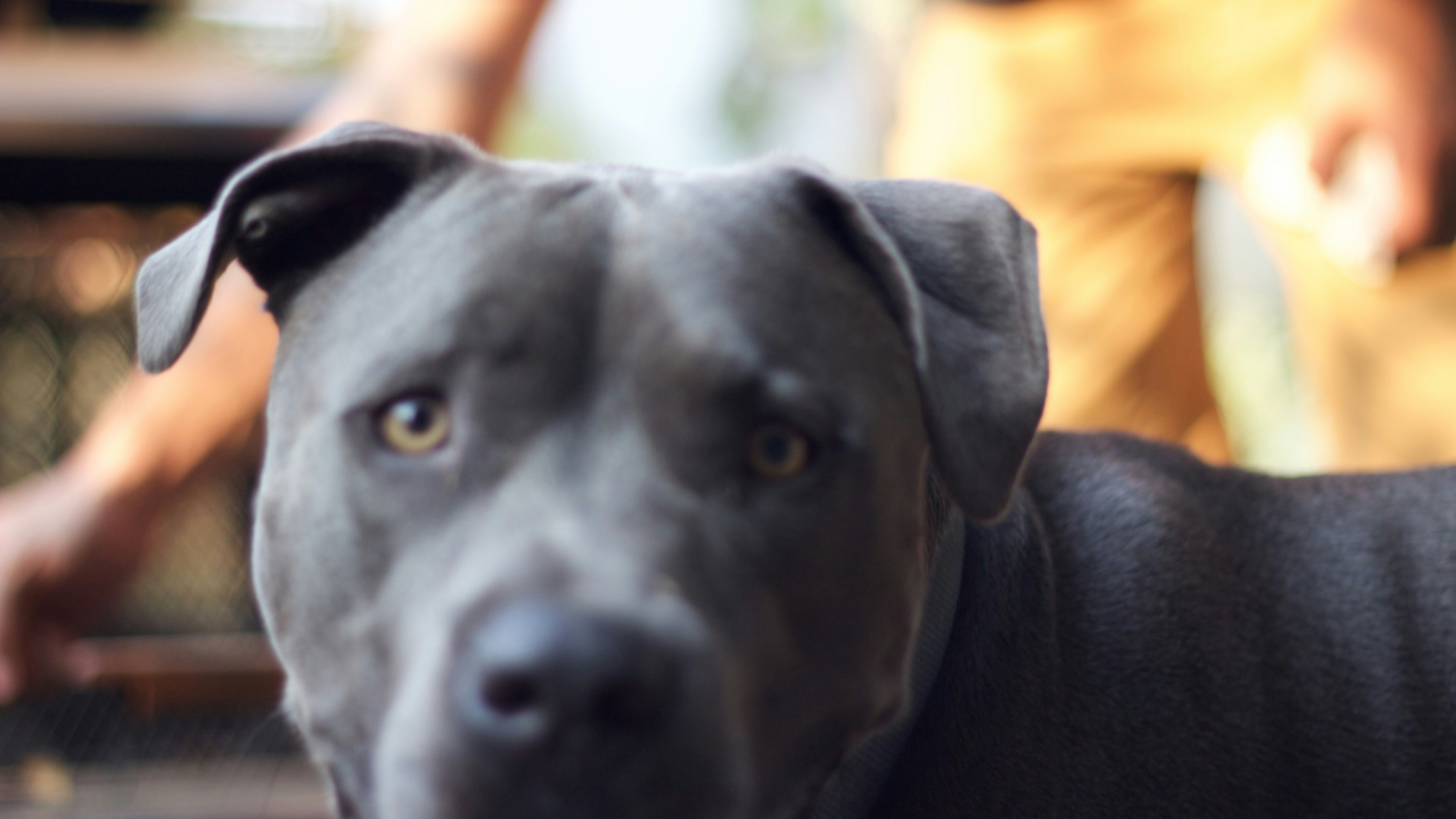 Free Unsplash photo from Alan Ricardéz