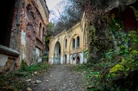 An overgrown pathway leading to an abandoned building.