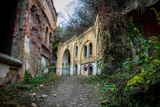 An overgrown pathway leading to an abandoned building.