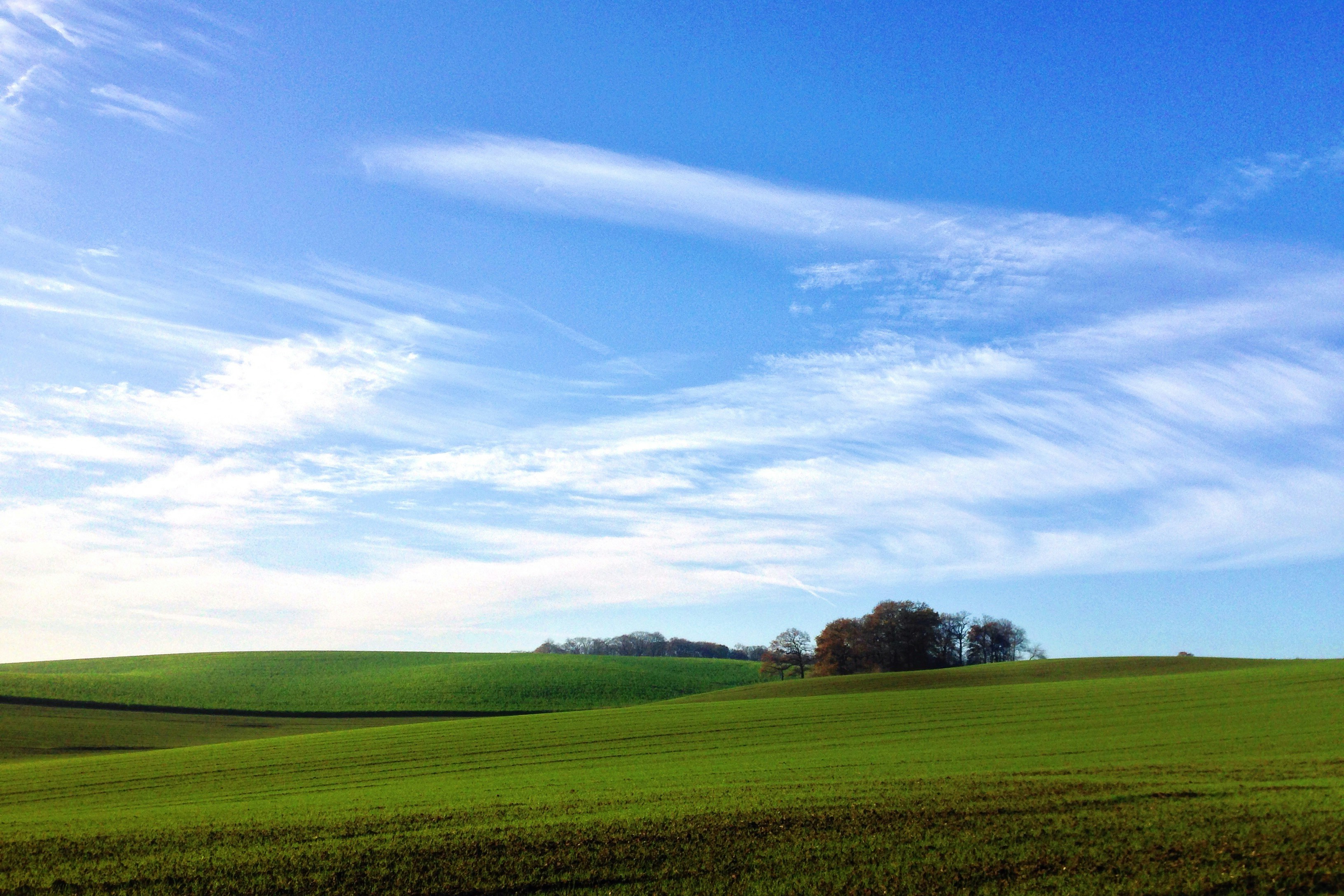 Photo By Rowan Heuvel