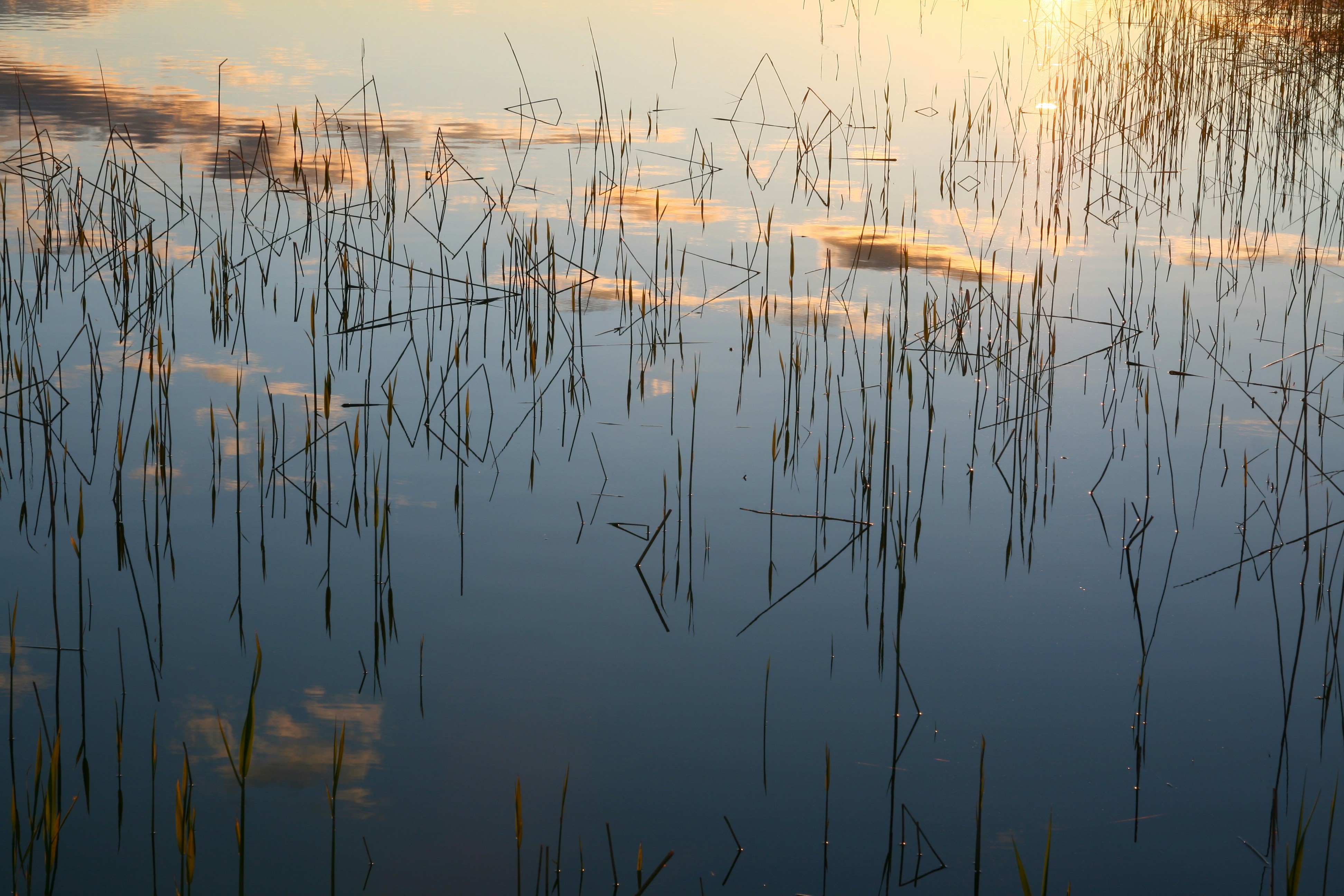 Free Unsplash photo from Ludde Lorentz