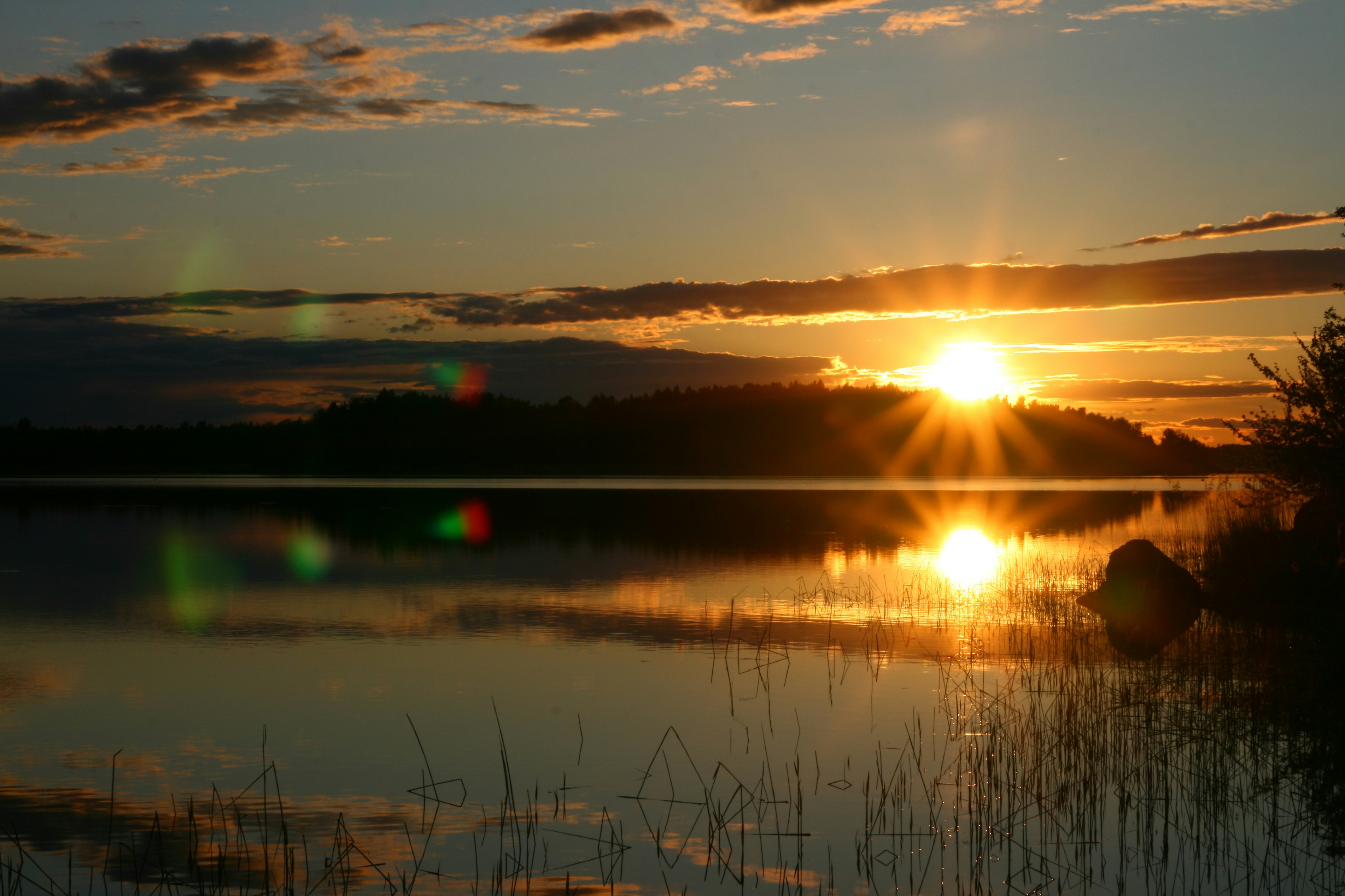 Free Unsplash photo from Ludde Lorentz