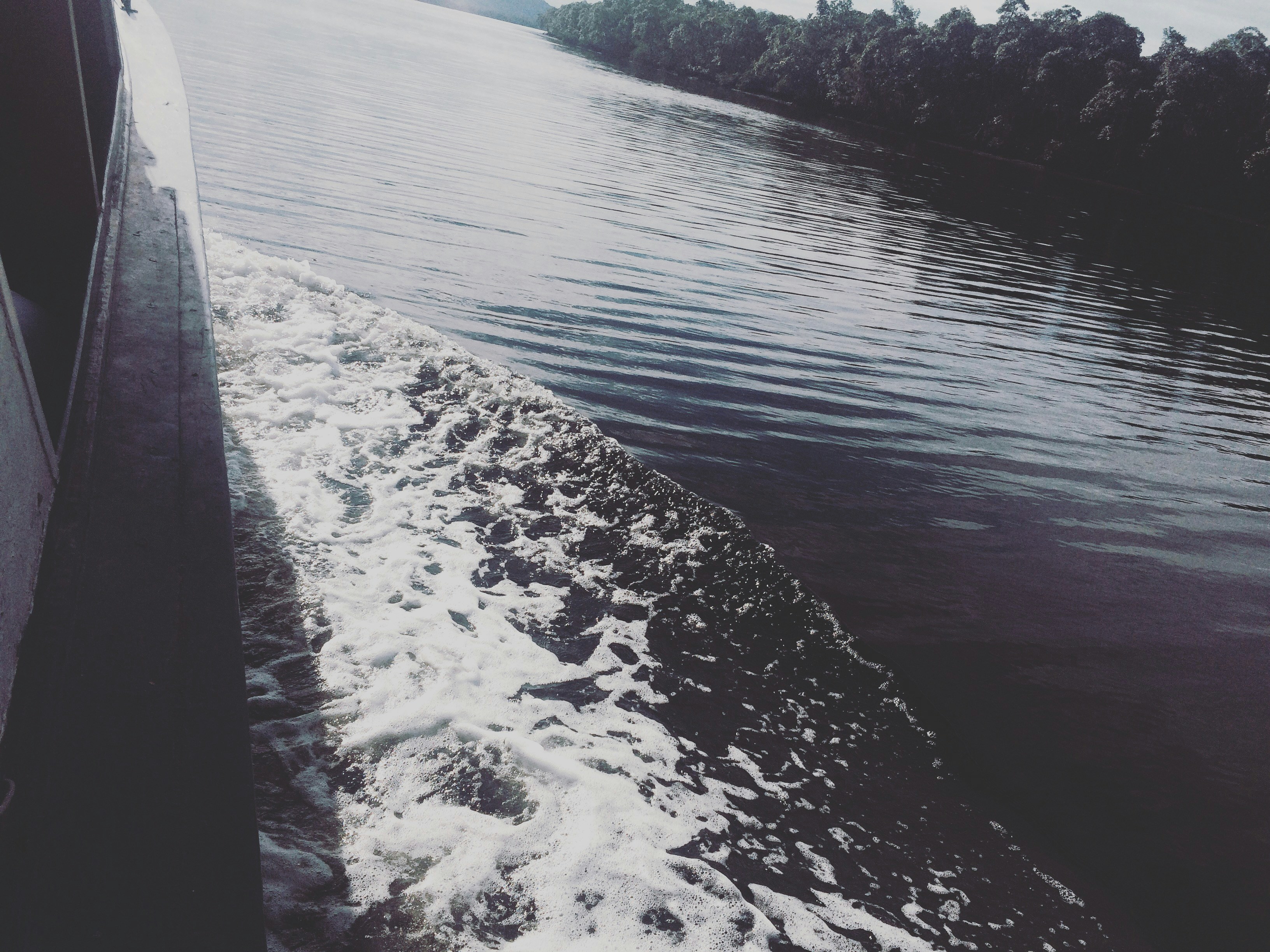 Free Unsplash photo from Nathan Dias