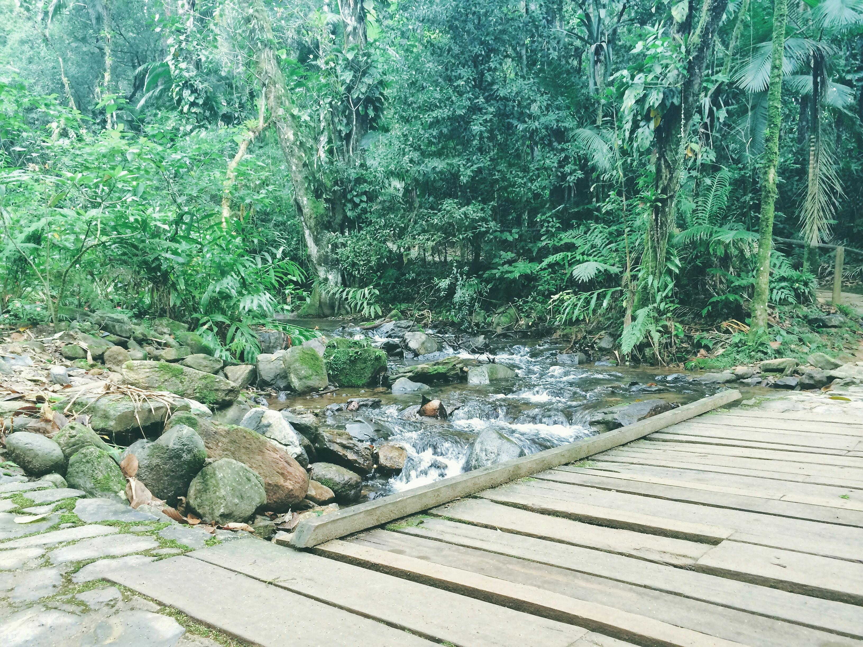 Free Unsplash photo from Nathan Dias