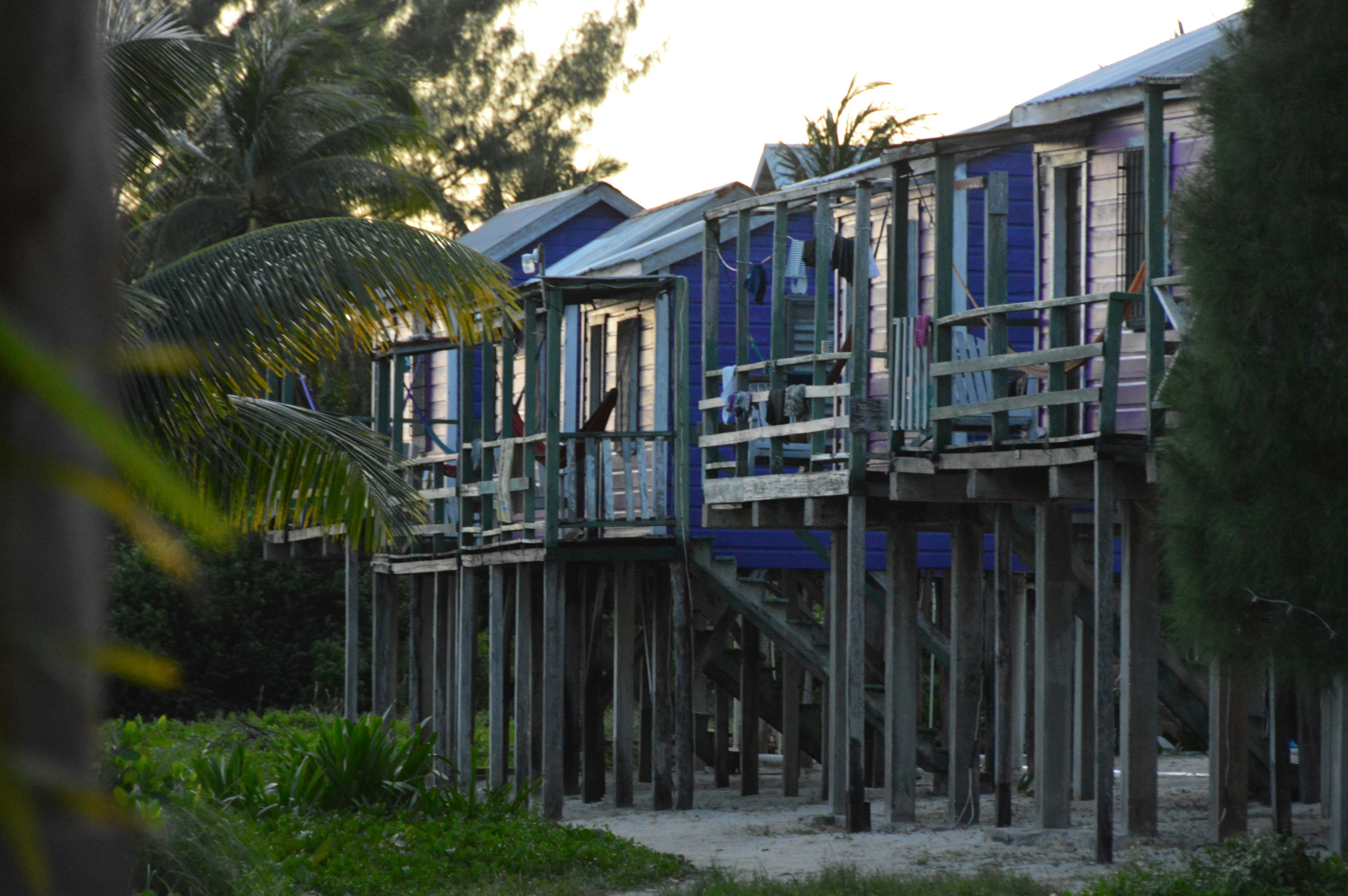 Free Unsplash photo from Montana McLean