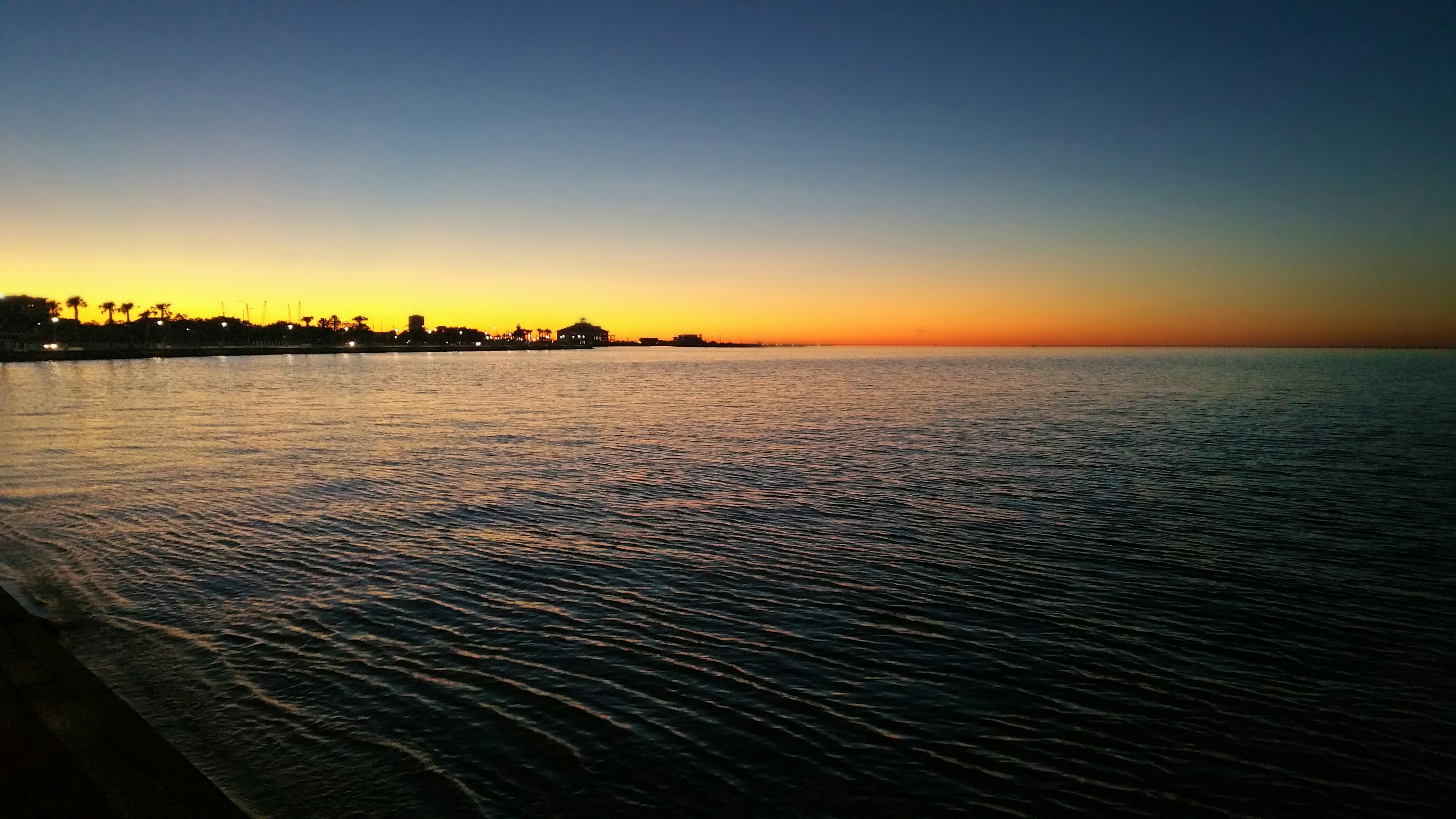 Free Unsplash photo from J G