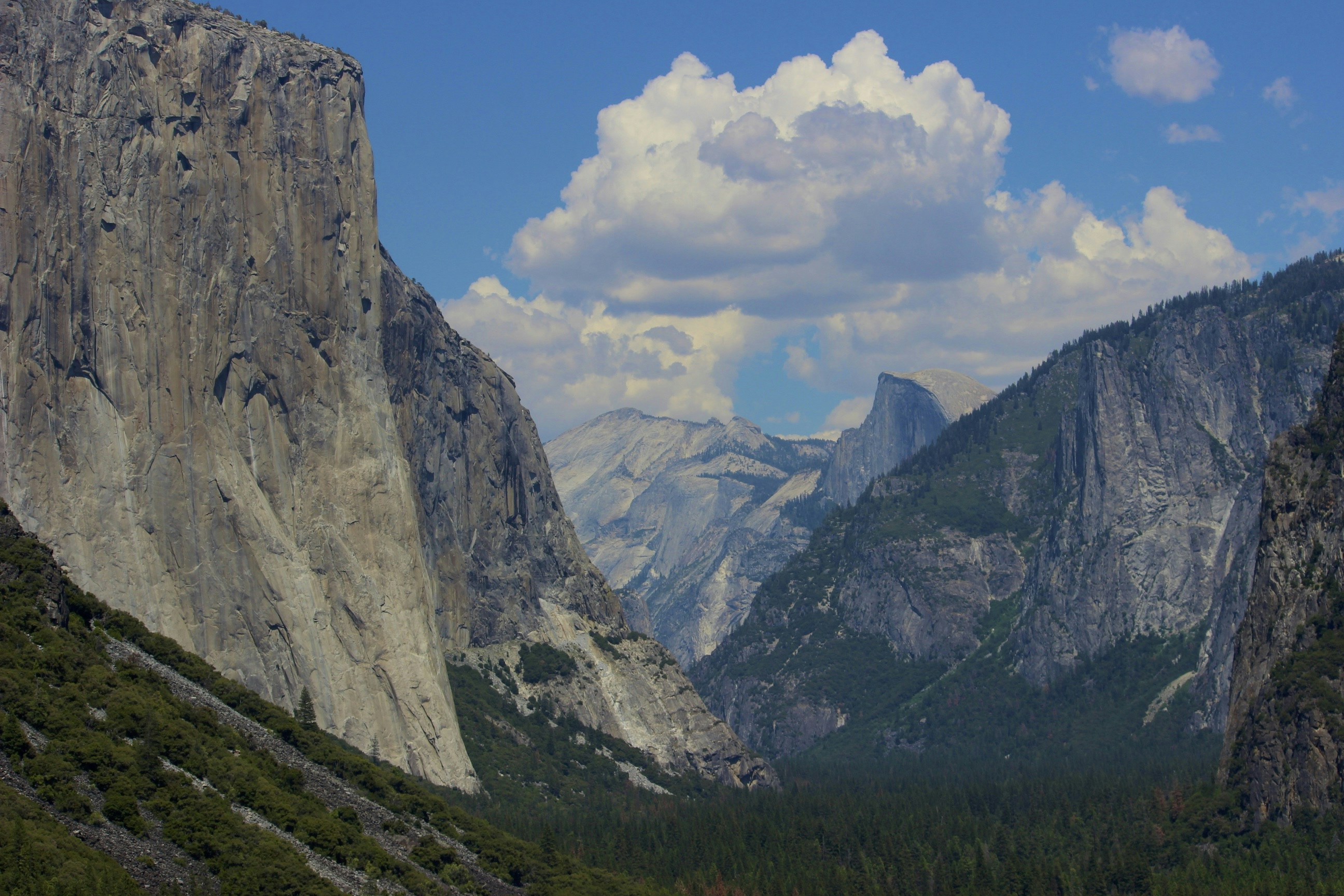 Free Unsplash photo from Jaxon Stevens