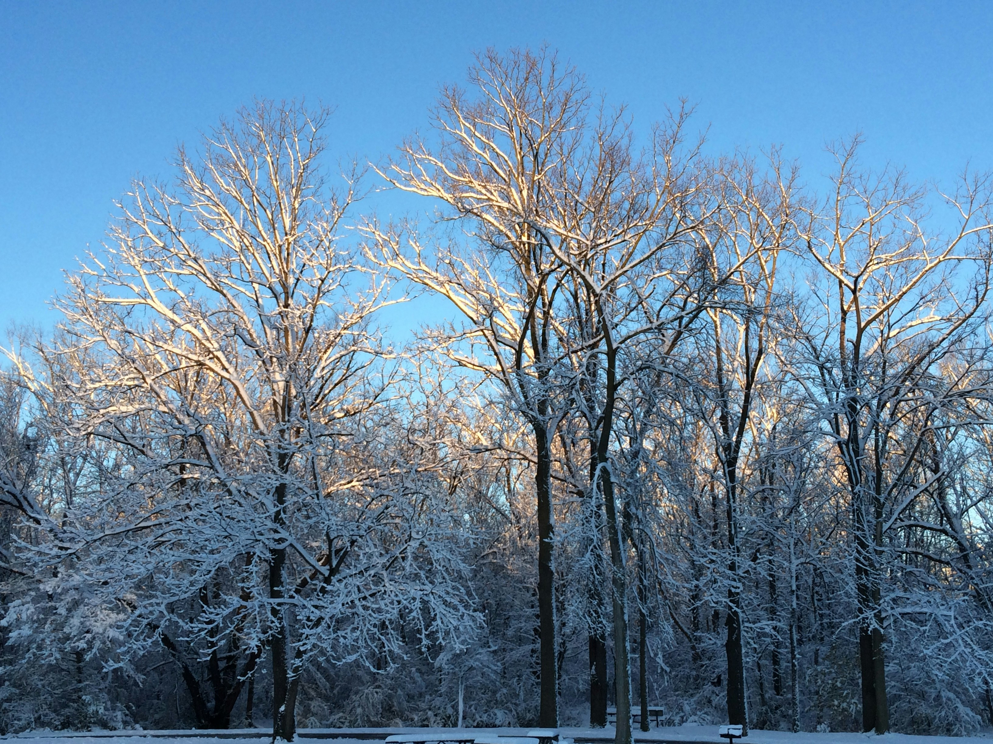 Free Unsplash photo from Carter Harris