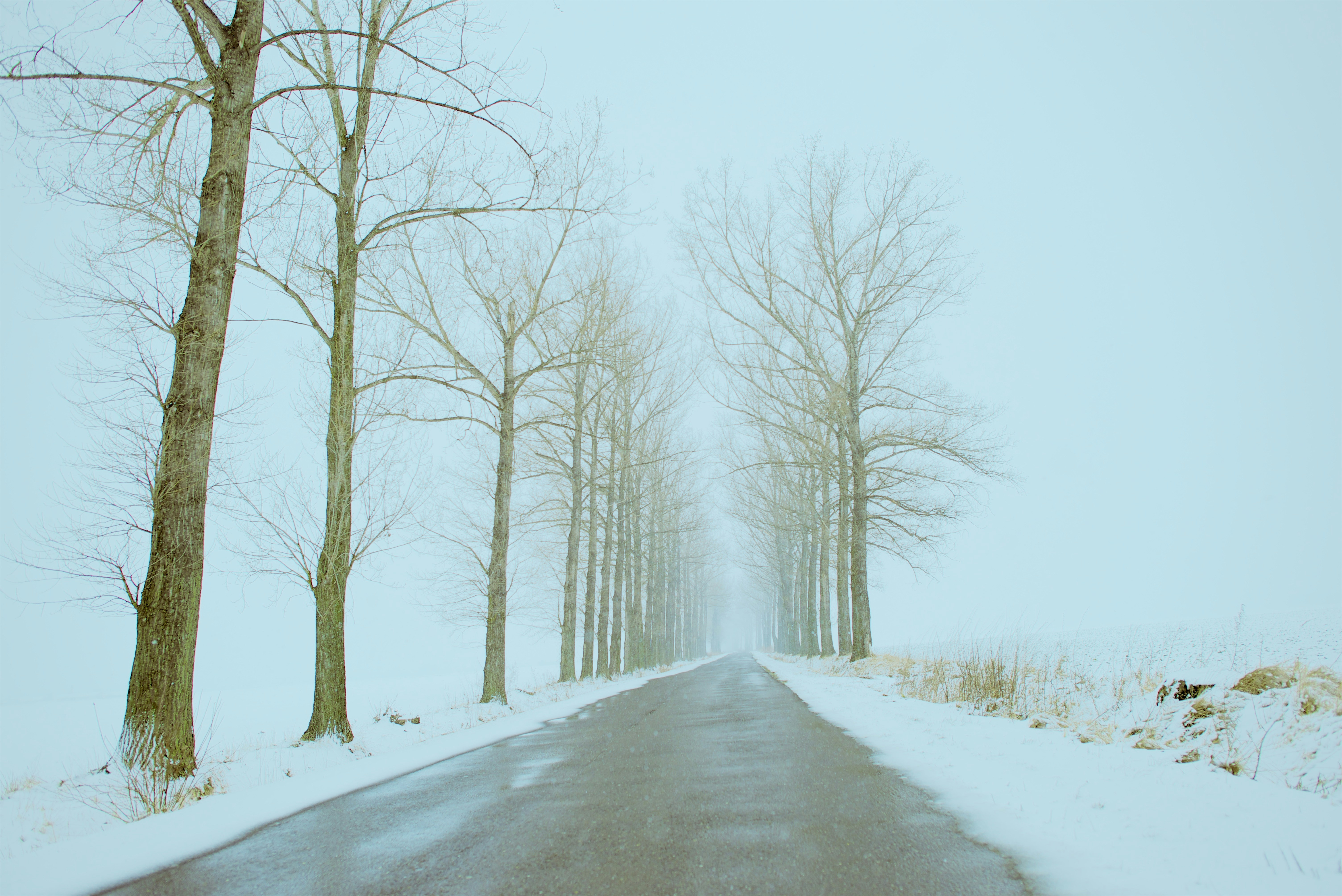 Free Unsplash photo from Pawel Franke