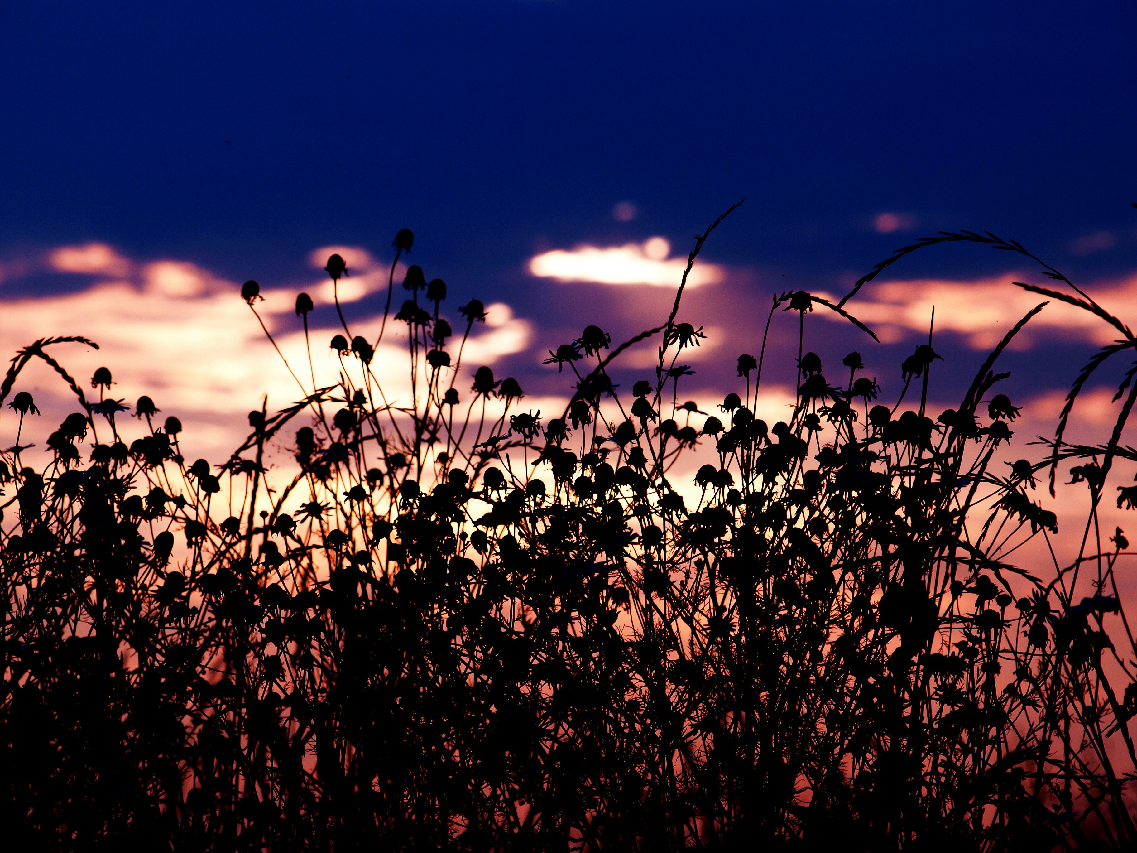 Free Unsplash photo from Alicja Koczaska