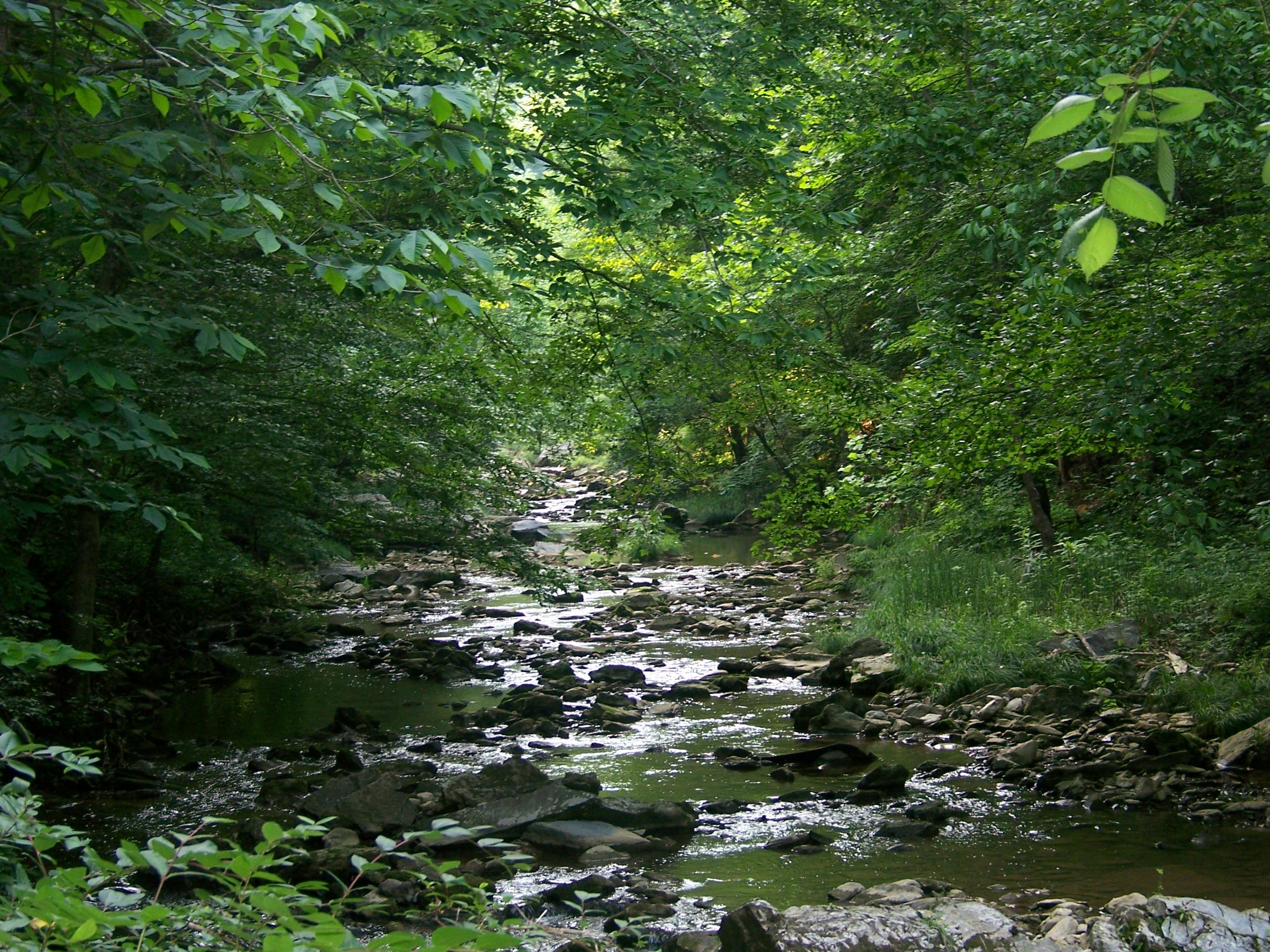 Free Unsplash photo from Jonathan Lambert