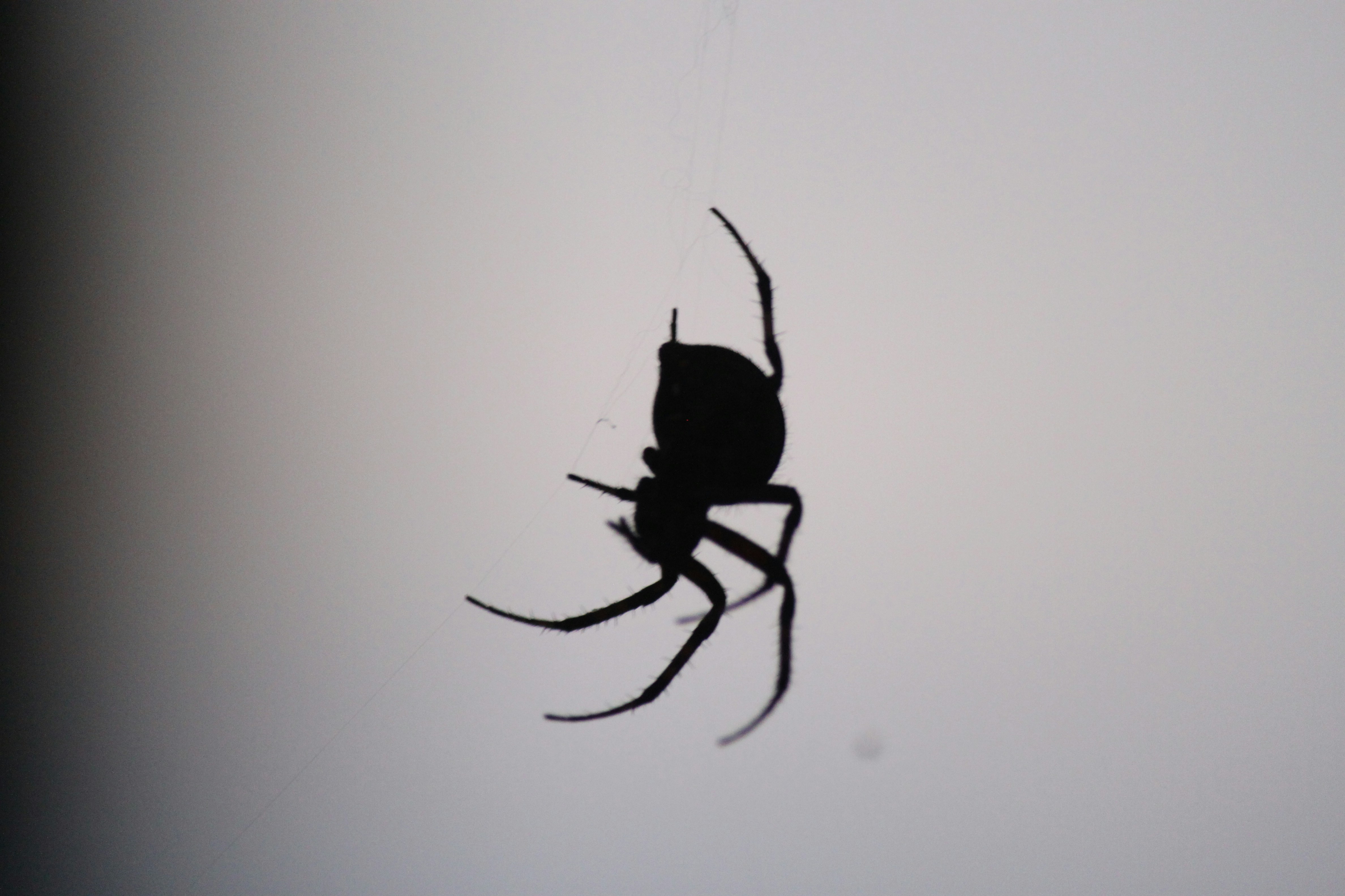 Free Unsplash photo from Jonathan Lambert