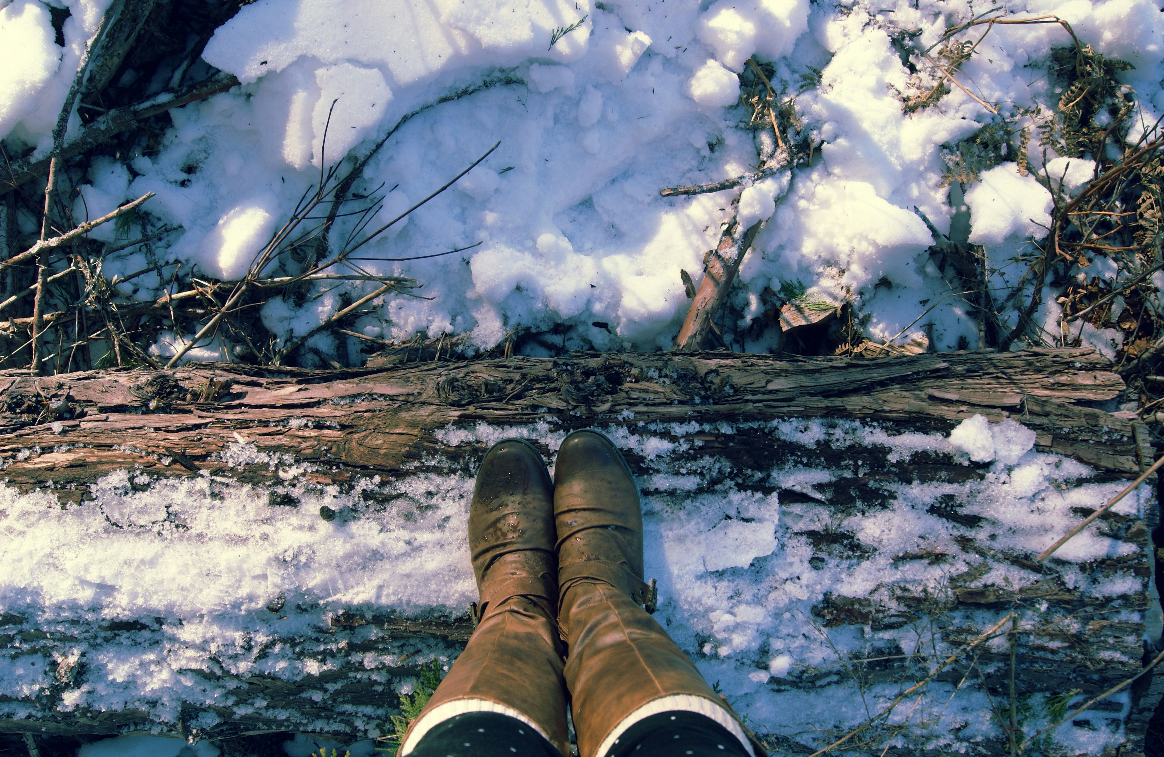 Free Unsplash photo from Emily Hoehenrieder