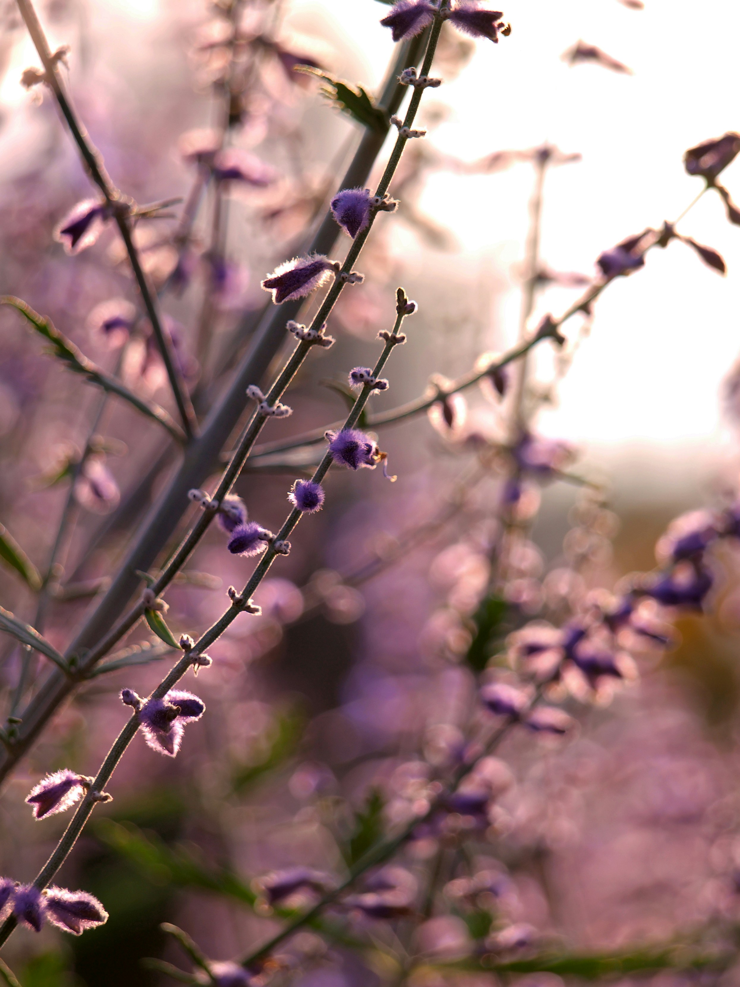 Free Unsplash photo from Alicja Koczaska